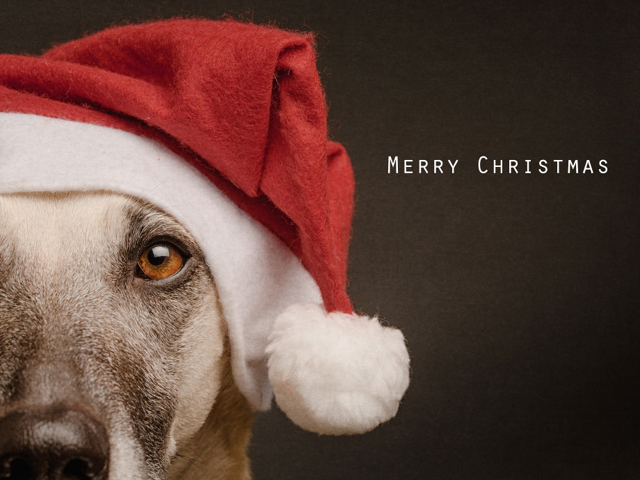 Christmas Greeting card: Merry Christmas