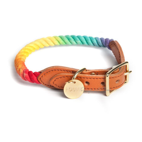 Rope and Leather Collar for Dogs and Cats, Prismatic
