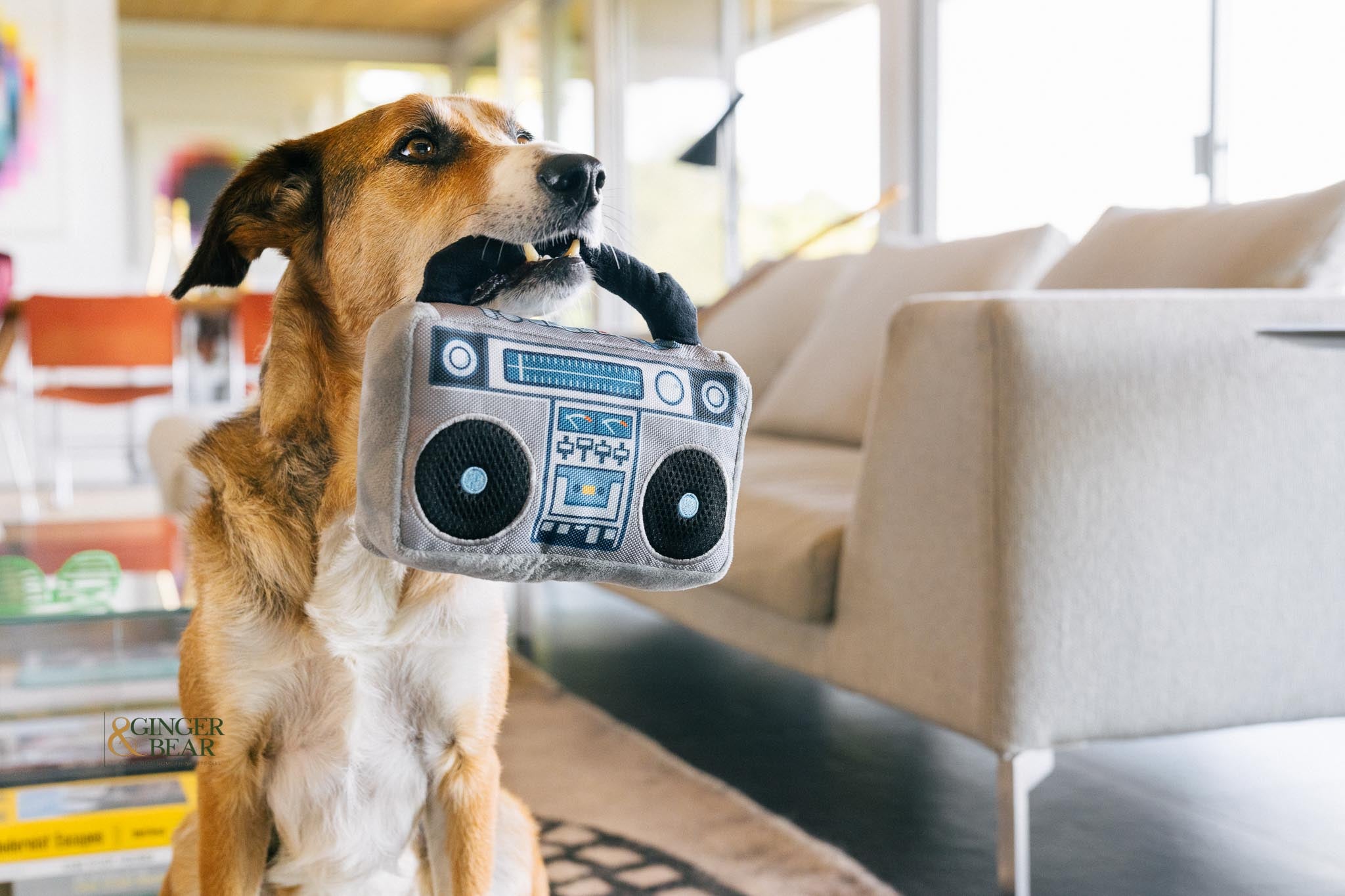 P.L.A.Y. 80s Classic Squeaky Plush Dog toys, Bundle