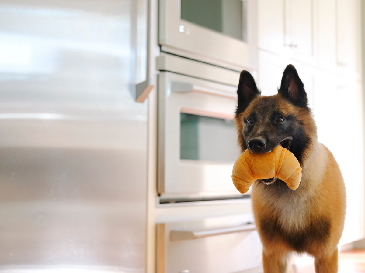 PLAY Barking Brunch Pups Pastry plush squeaky dog toy shaped like a golden brown croissants pastry
