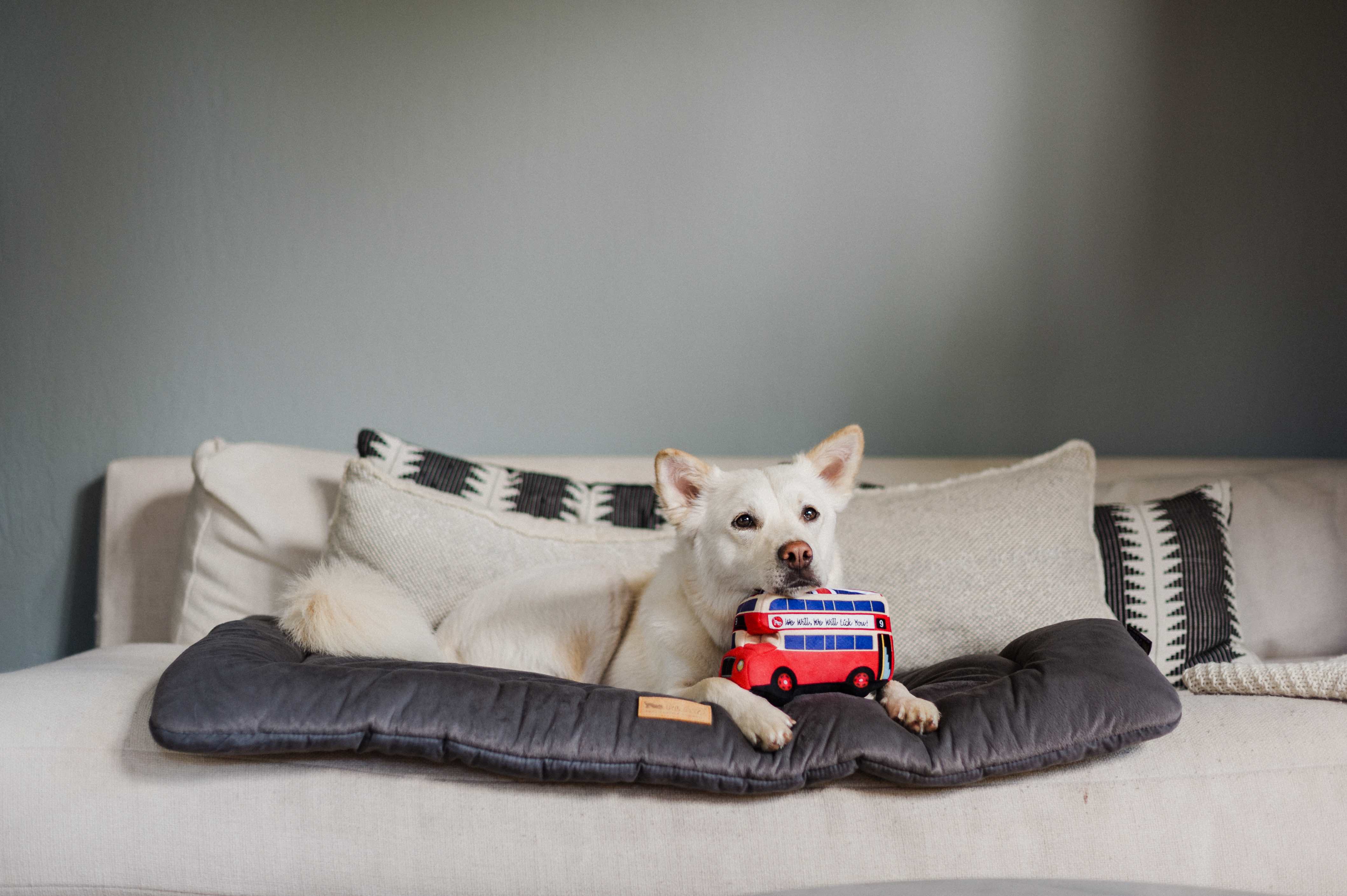 P.L.A.Y. Canine Commute Plush Dog toys: Lickety Split Bus