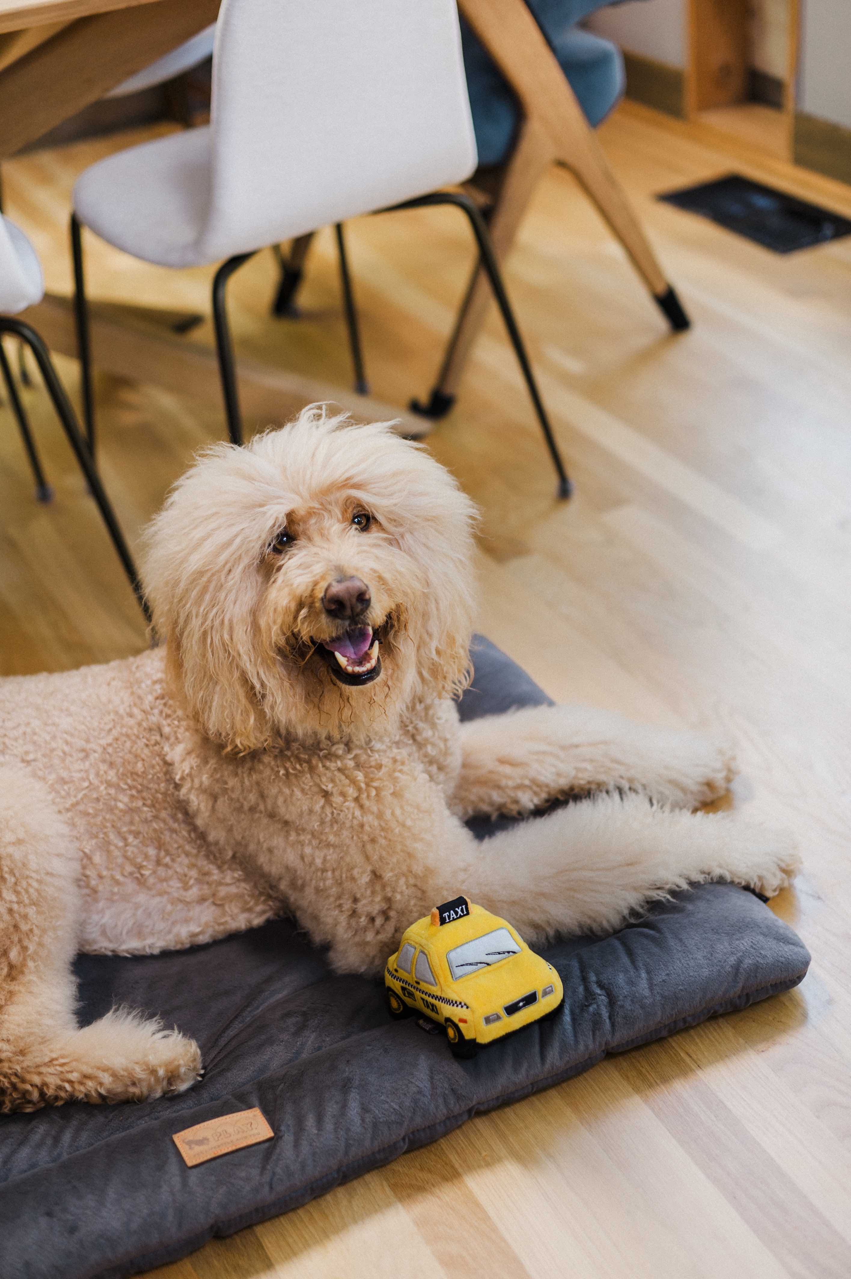 P.L.A.Y. Canine Commute Plush Dog toys: New Yap City Taxi
