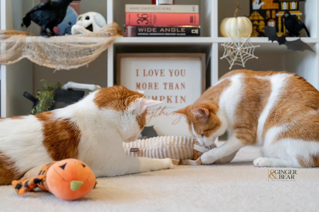 P.L.A.Y. Feline Frenzy, Catnip Kicker Toy set: Scarecrow