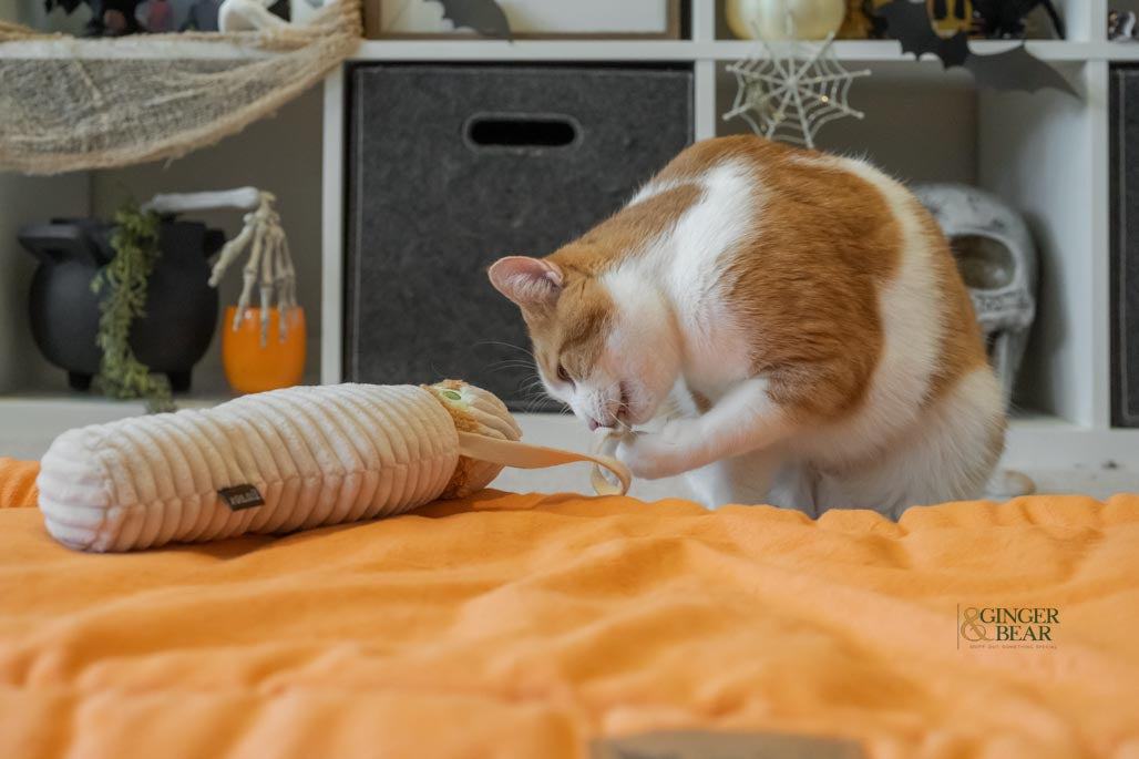 P.L.A.Y. Feline Frenzy, Catnip Kicker Toy set: Mummy