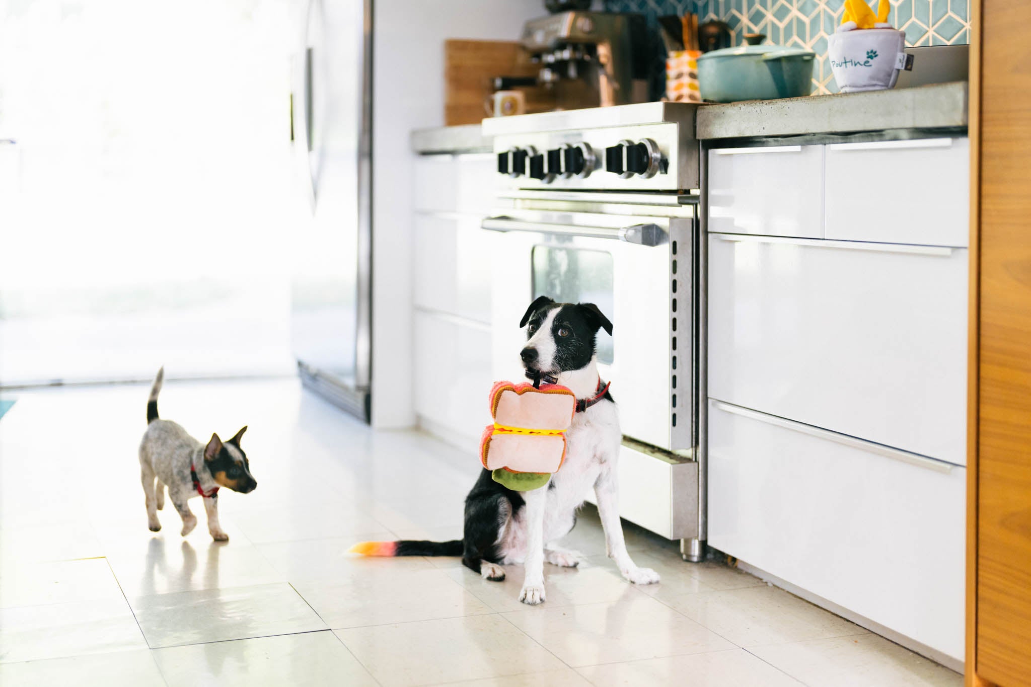 P.L.A.Y. Montreal Munchies Squeaky Plush Dog toys, Mon-treat-al Smoked Meat Sandwich