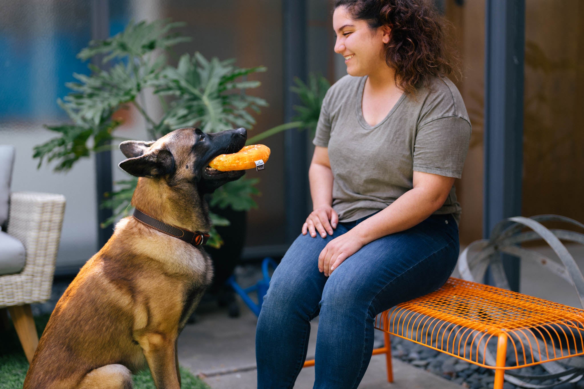 P.L.A.Y. Montreal Munchies Squeaky Plush Dog toys, Montreal Bagel