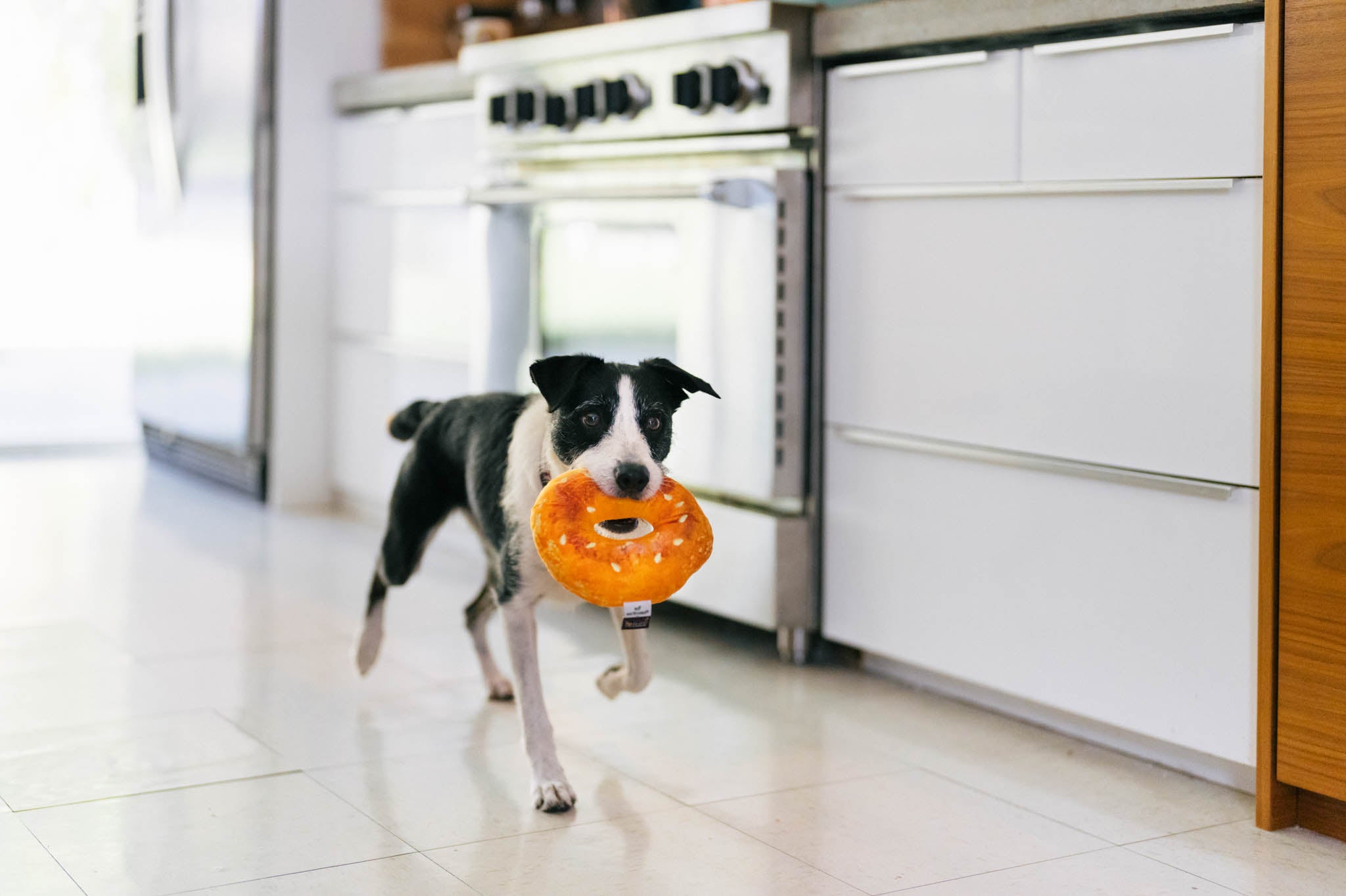 P.L.A.Y. Montreal Munchies Squeaky Plush Dog toys, Montreal Bagel