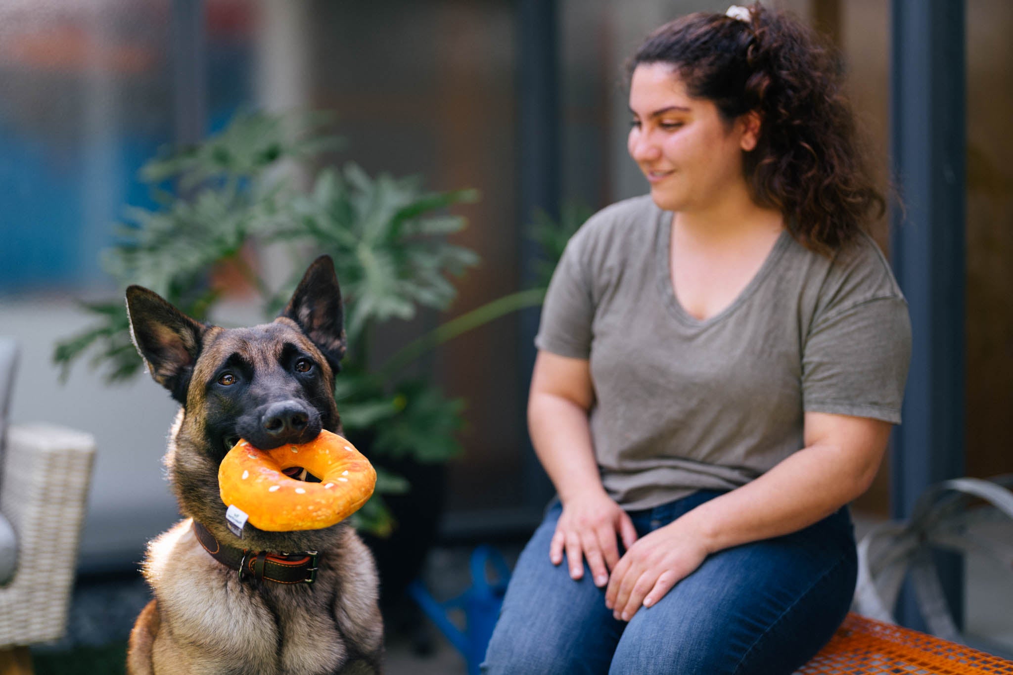 P.L.A.Y. Montreal Munchies Squeaky Plush Dog toys, Montreal Bagel