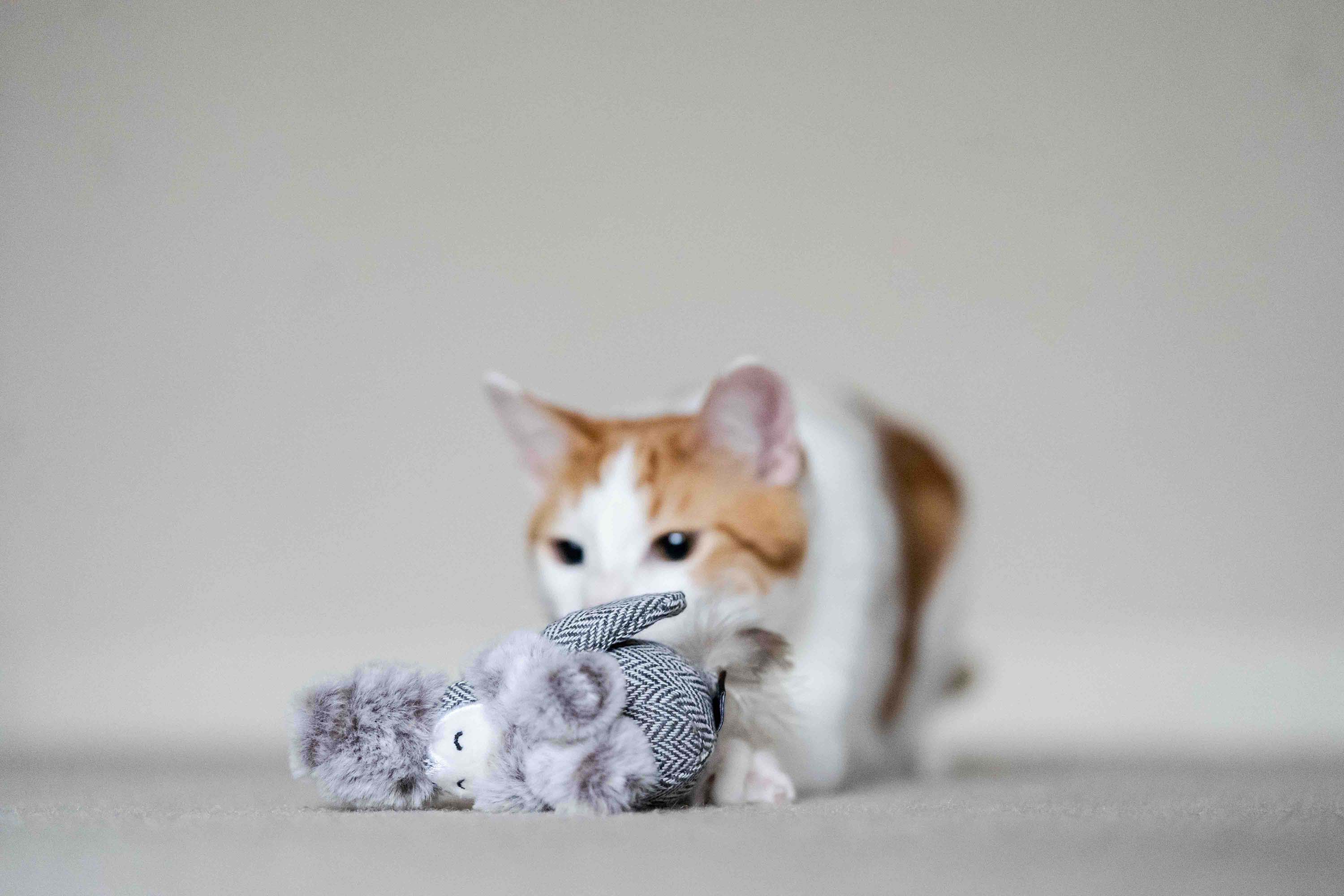 P.L.A.Y. Feline Frenzy, Catnip Toy set: Blissful Birdie