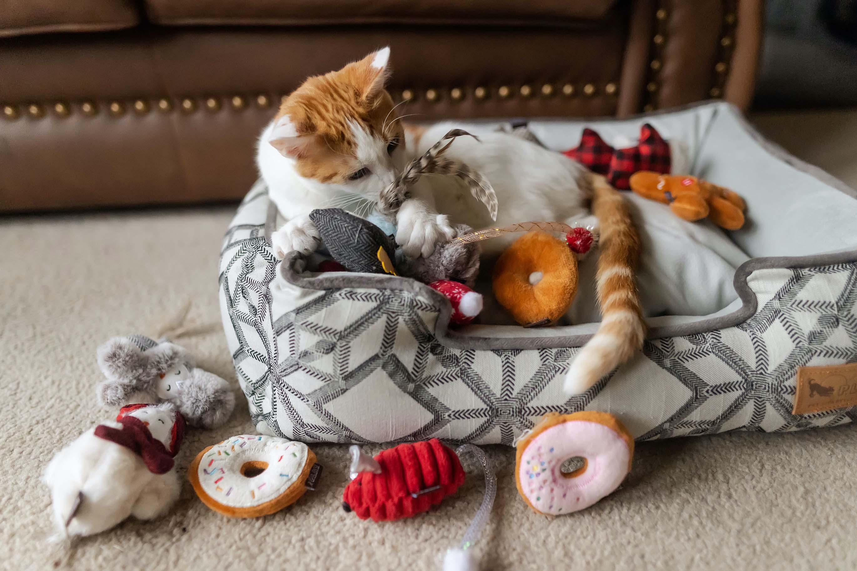 P.L.A.Y. Feline Frenzy, Catnip Toy set: Twice as Mice