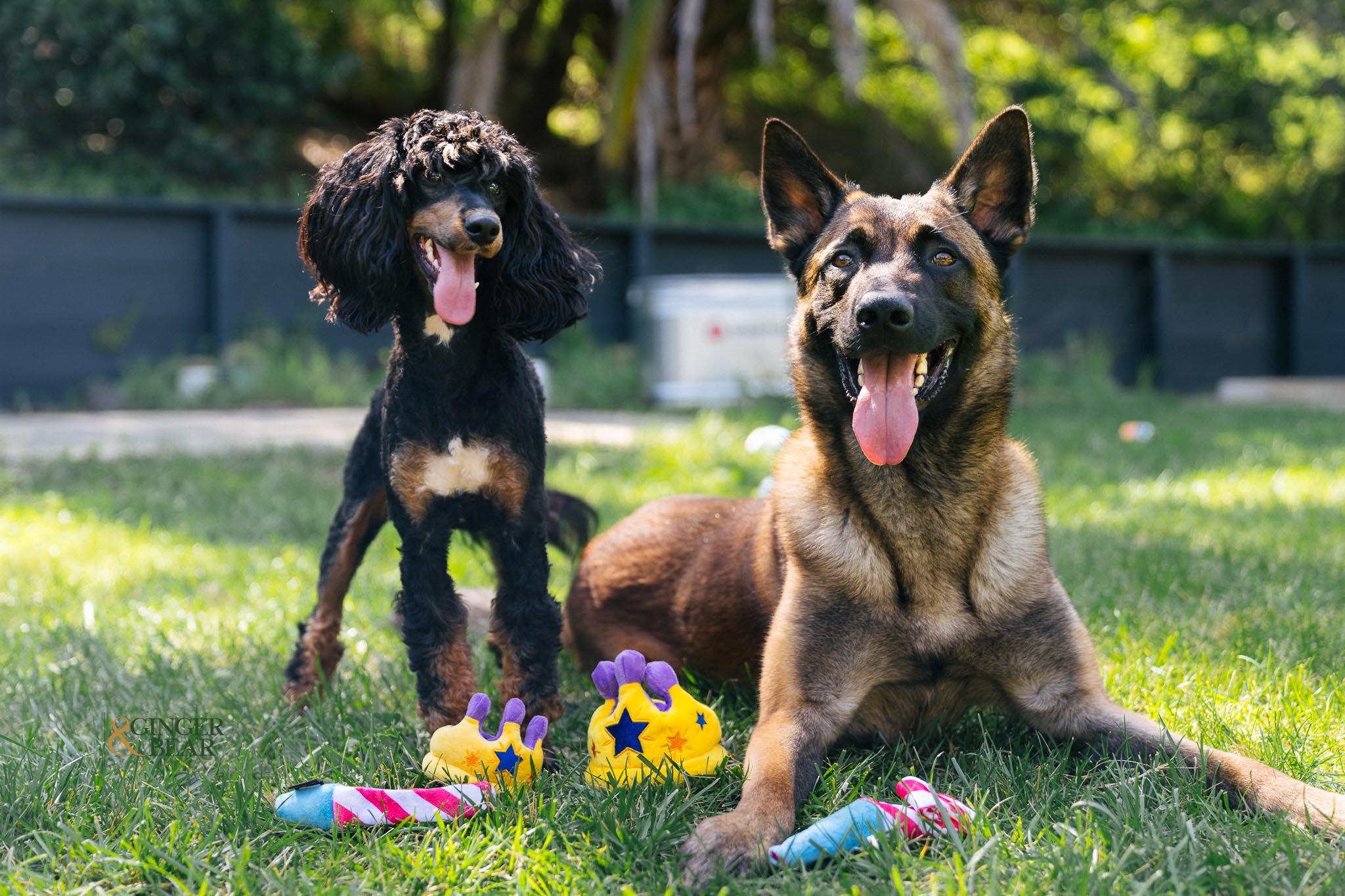 P.L.A.Y. MINI Party Time Plush Dog toys, Canine Crown (mini sized)