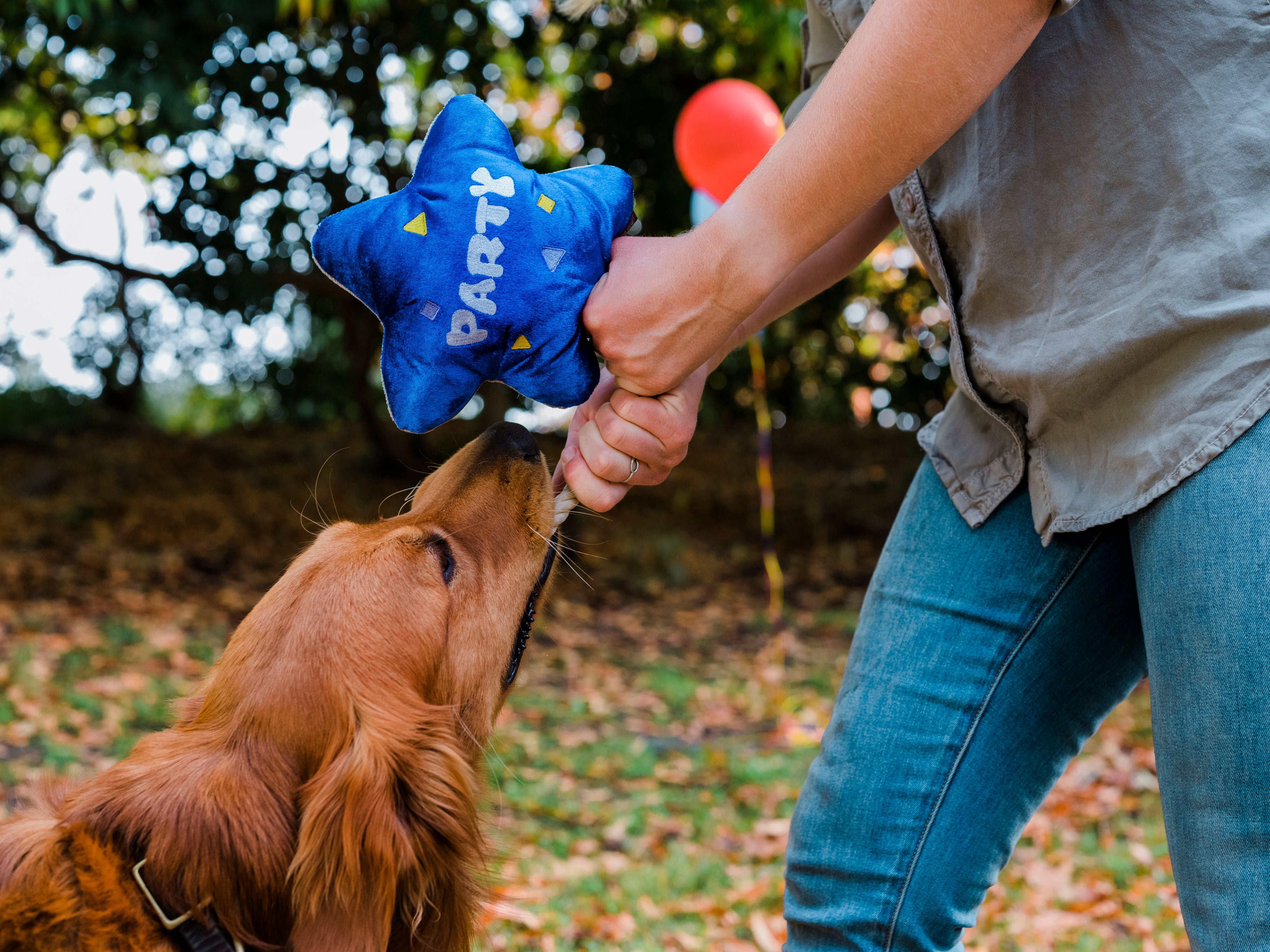 P.L.A.Y. Party Time Plush Dog toys, Bundle