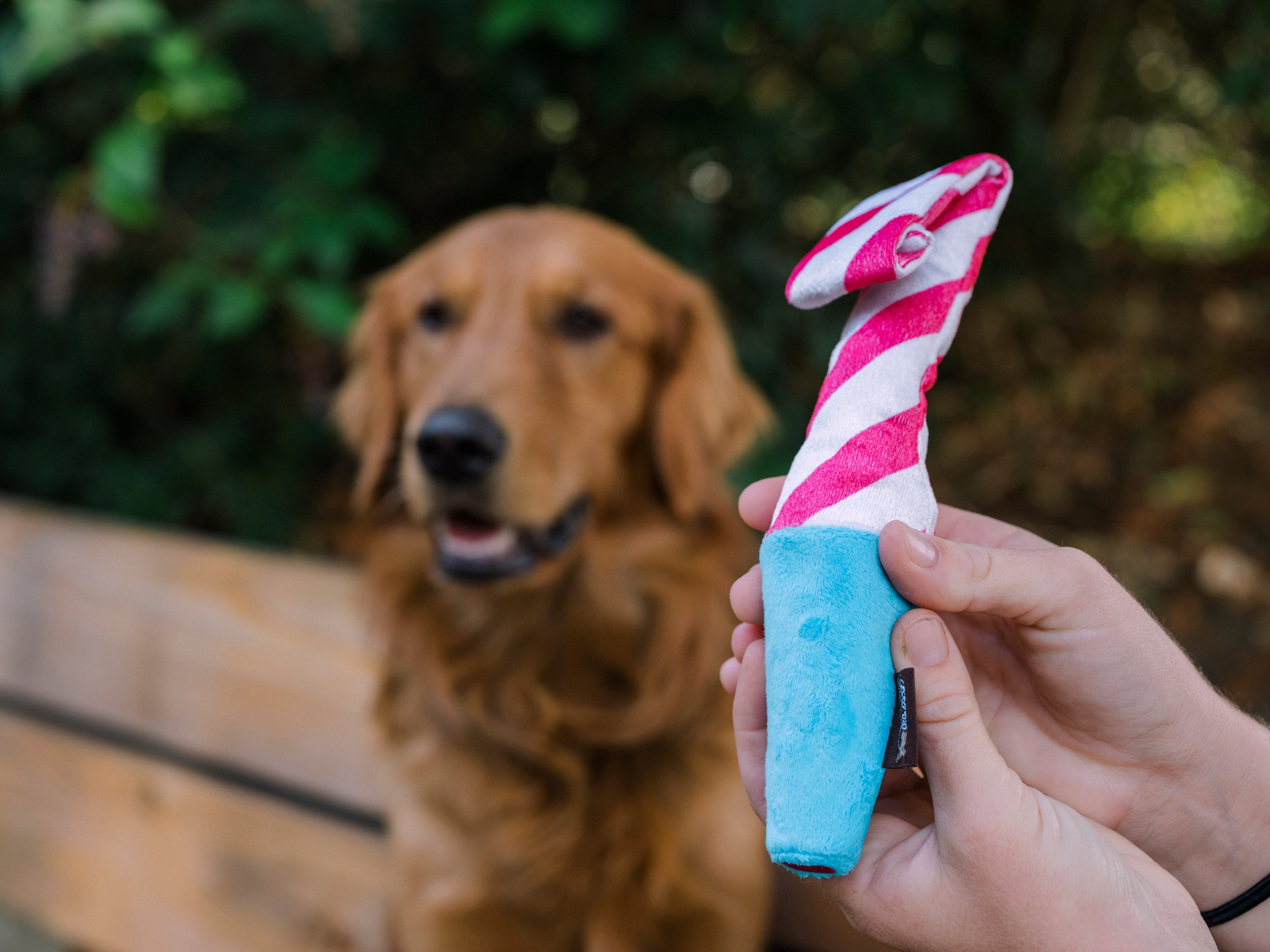 P.L.A.Y. Party Time Plush Dog toys, Raise the Woof Party Horn