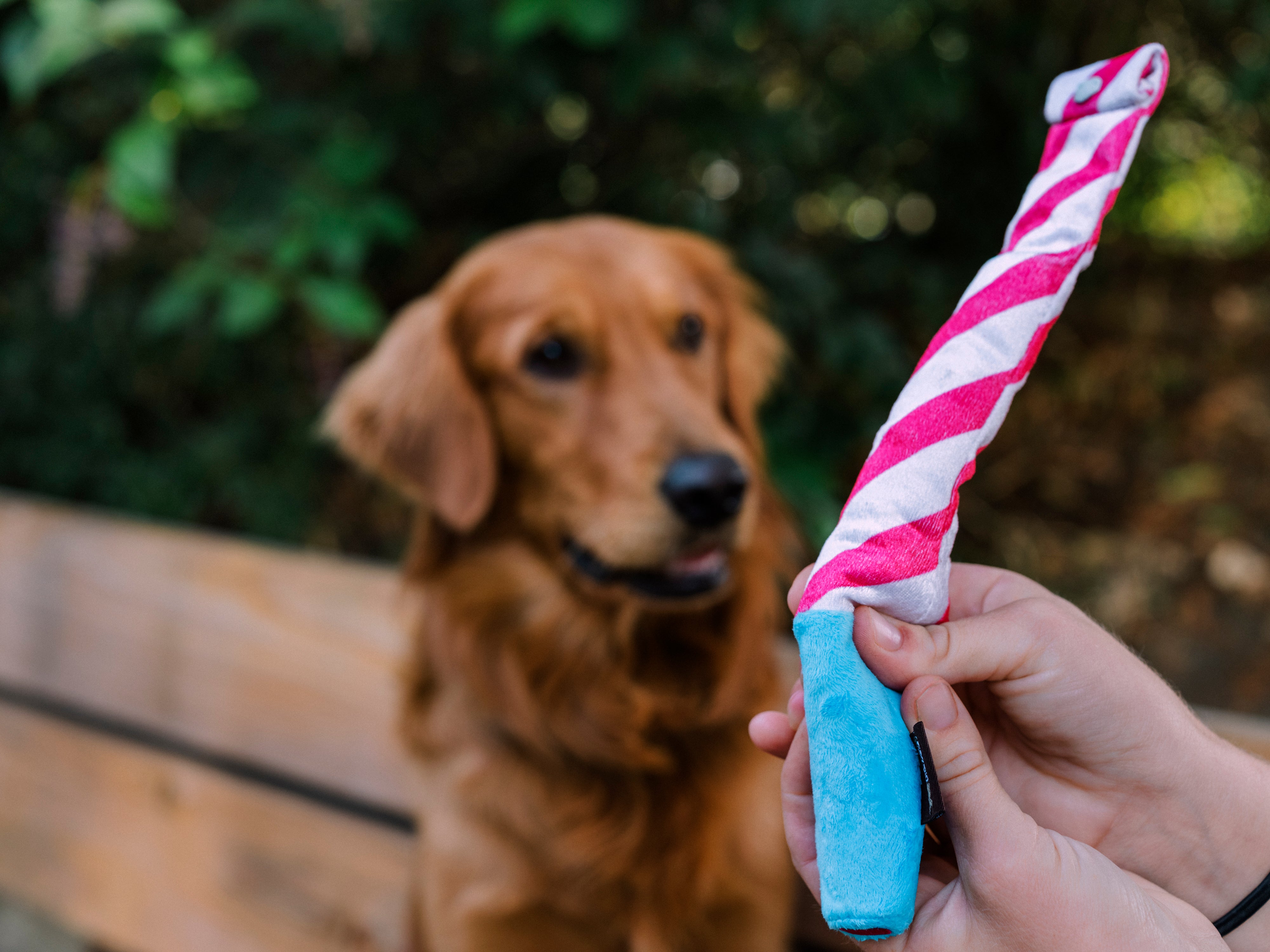 P.L.A.Y. Party Time Plush Dog toys, Bundle