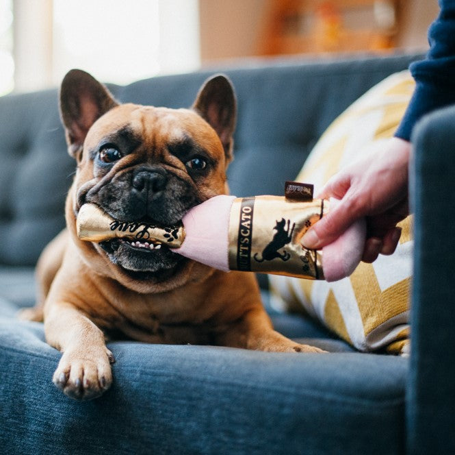 Puppy Love, Dog Squeaky Plush Toys, Barking Bubbly