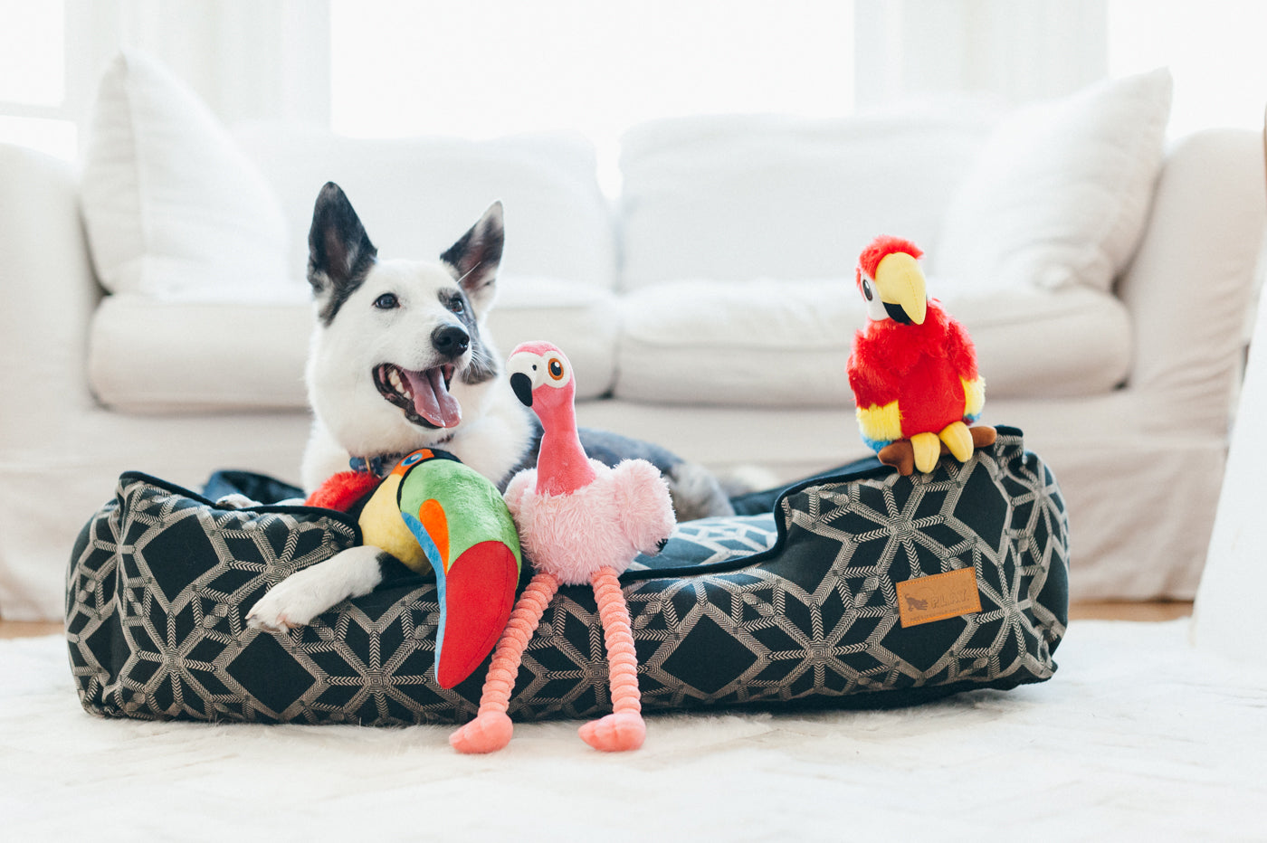 Fetching Flock Squeaky Plush Dog toys