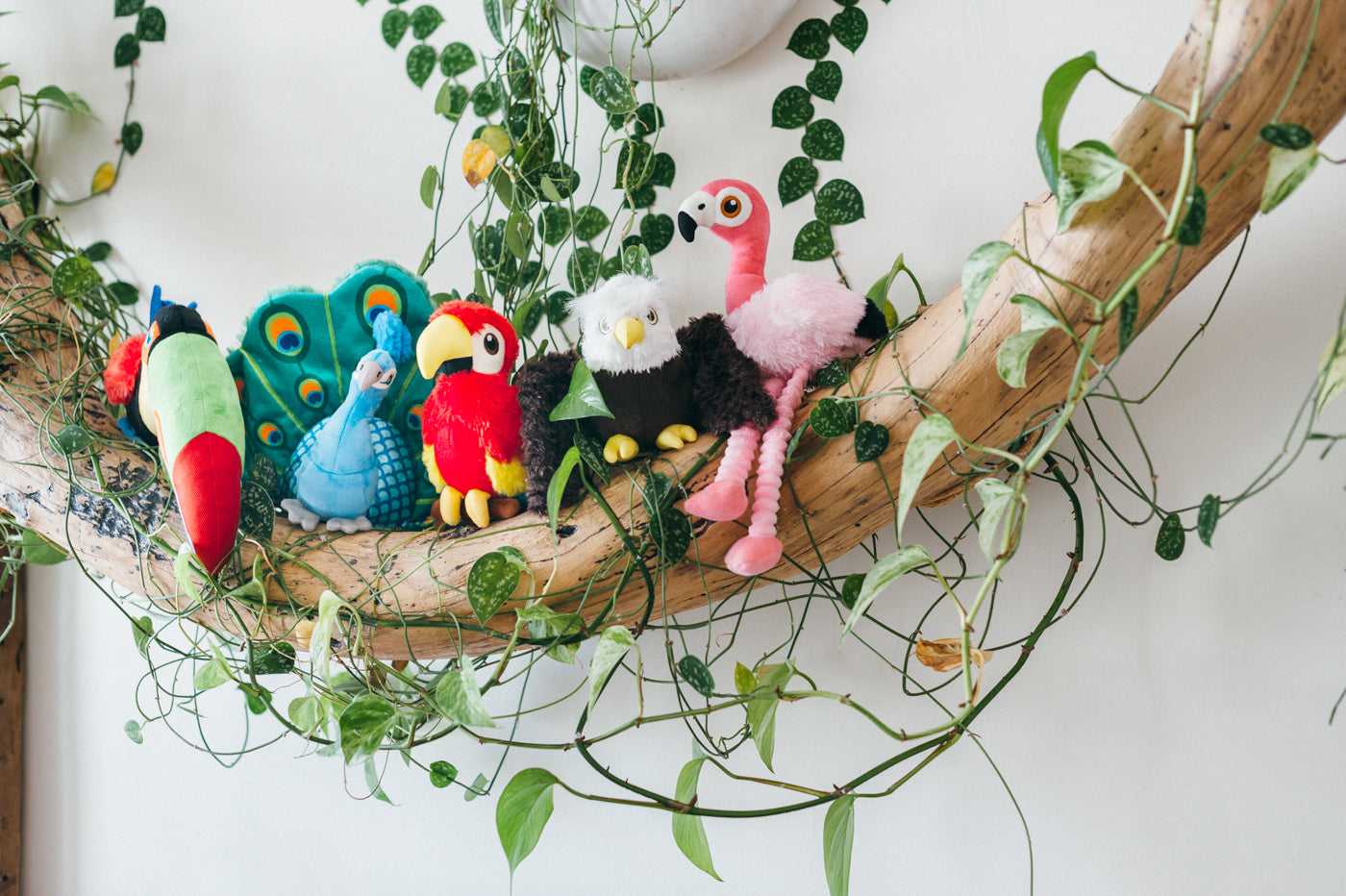 Fetching Flock Squeaky Plush Dog toys