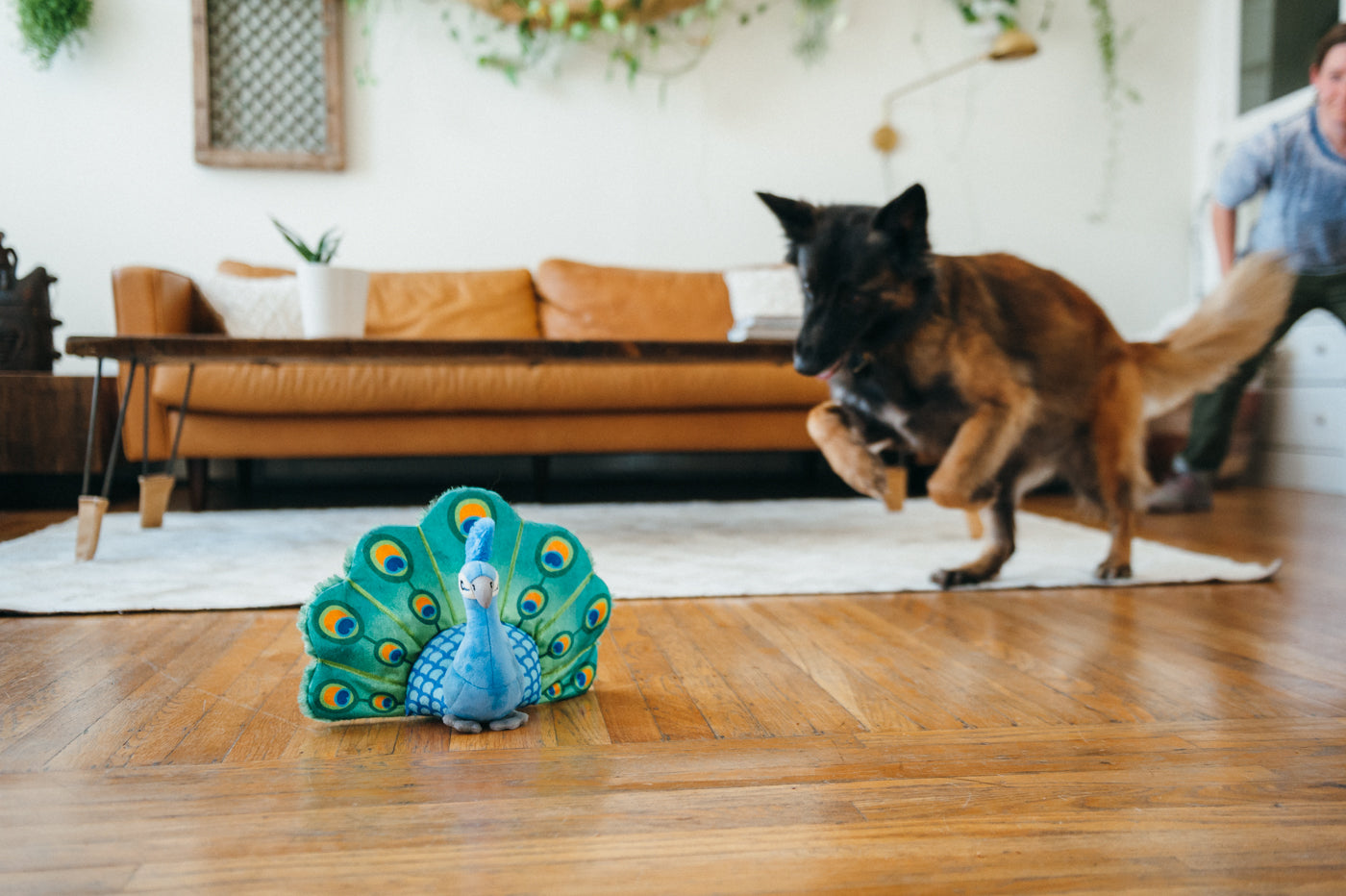 Fetching Flock Squeaky Plush Dog toys