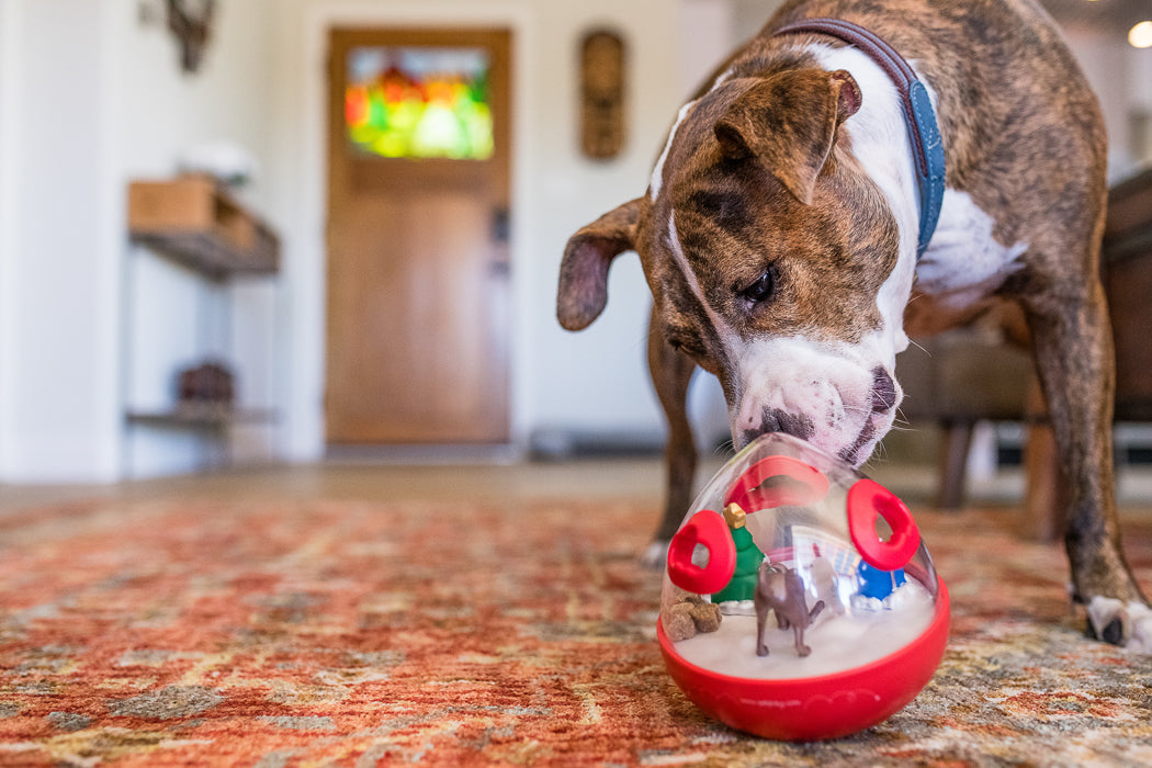 P.L.A.Y. Holiday Wobble Dog Toy