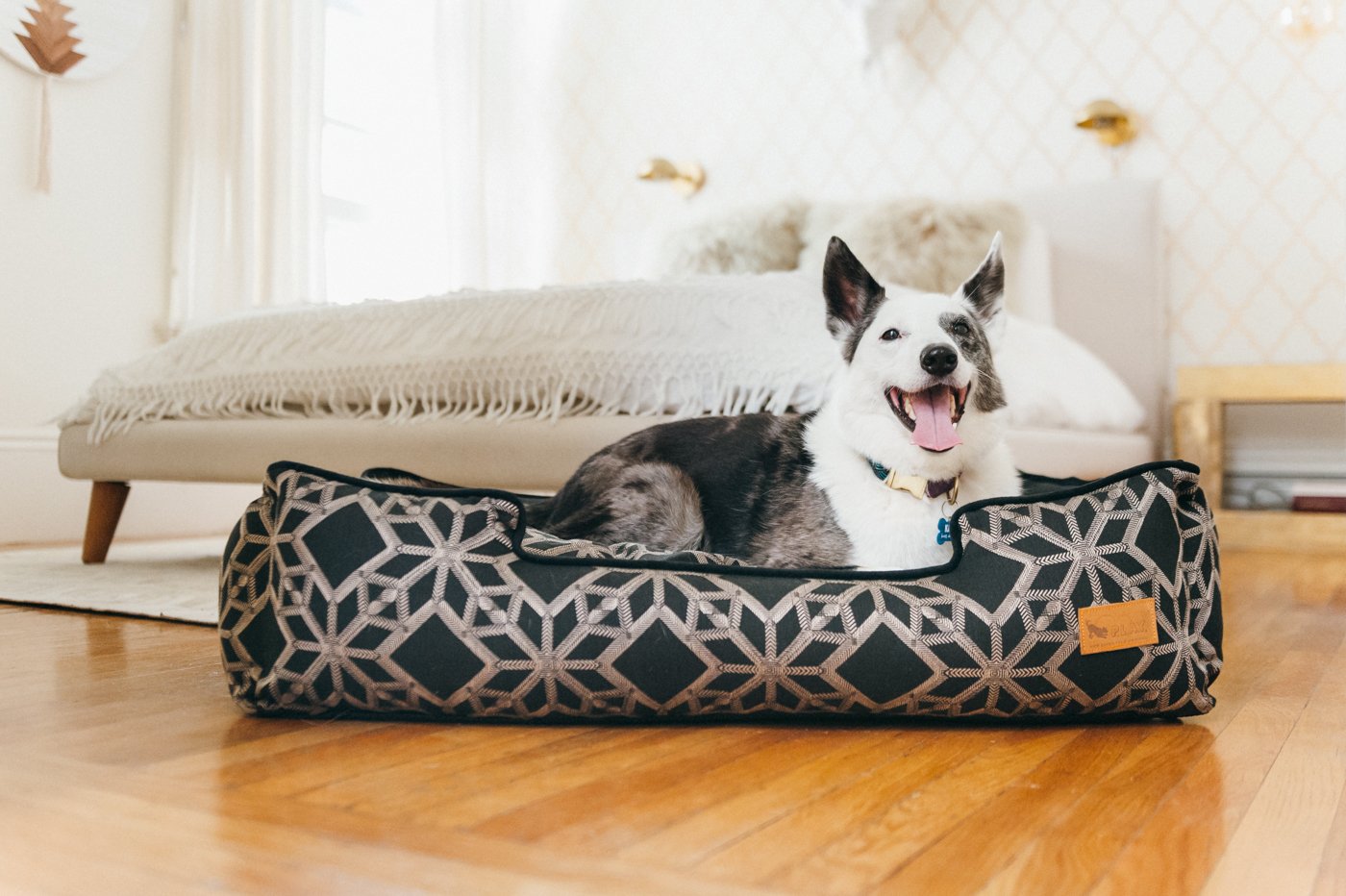 P.L.A.Y. Lounge Dog Bed Solstice Stormy Night