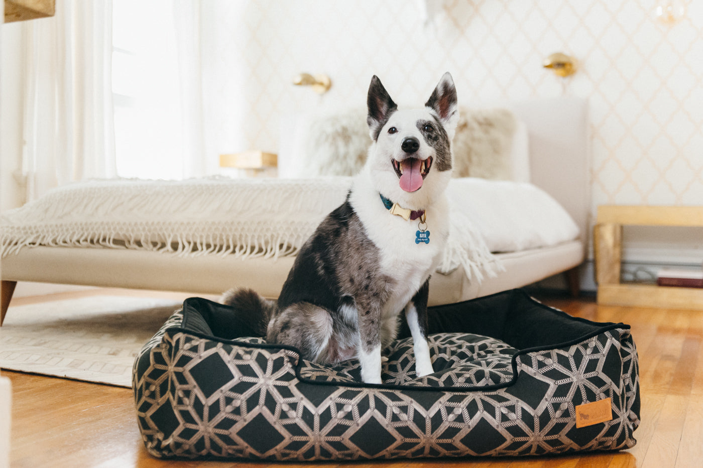 P.L.A.Y. Lounge Dog Bed Solstice Stormy Night