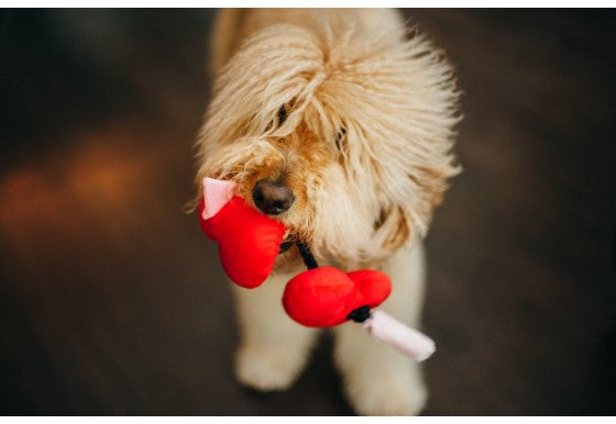 P.L.A.Y. Puppy Love Collection Dog Toy Fur-ever Hearts
