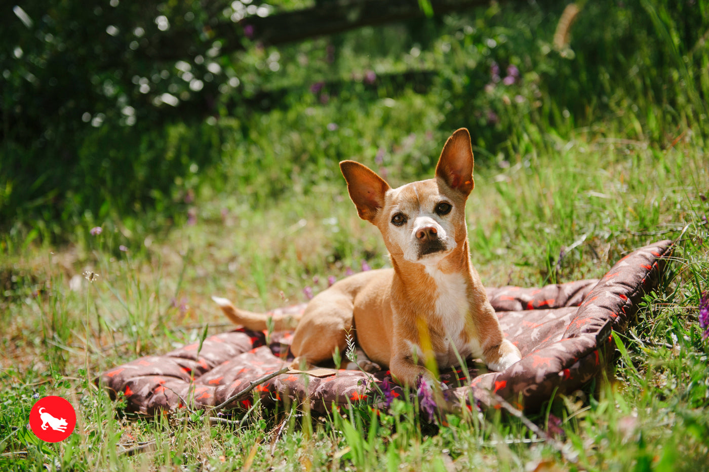 P.L.A.Y. Scout & About Outdoor Chill Pad Vanilla Mocha for Dogs 8