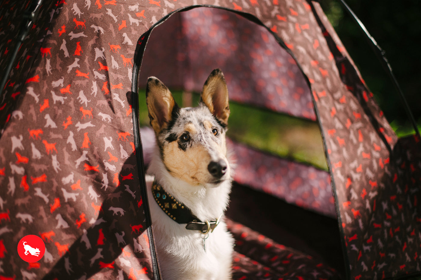 Outdoor Dog Tent in Mocha