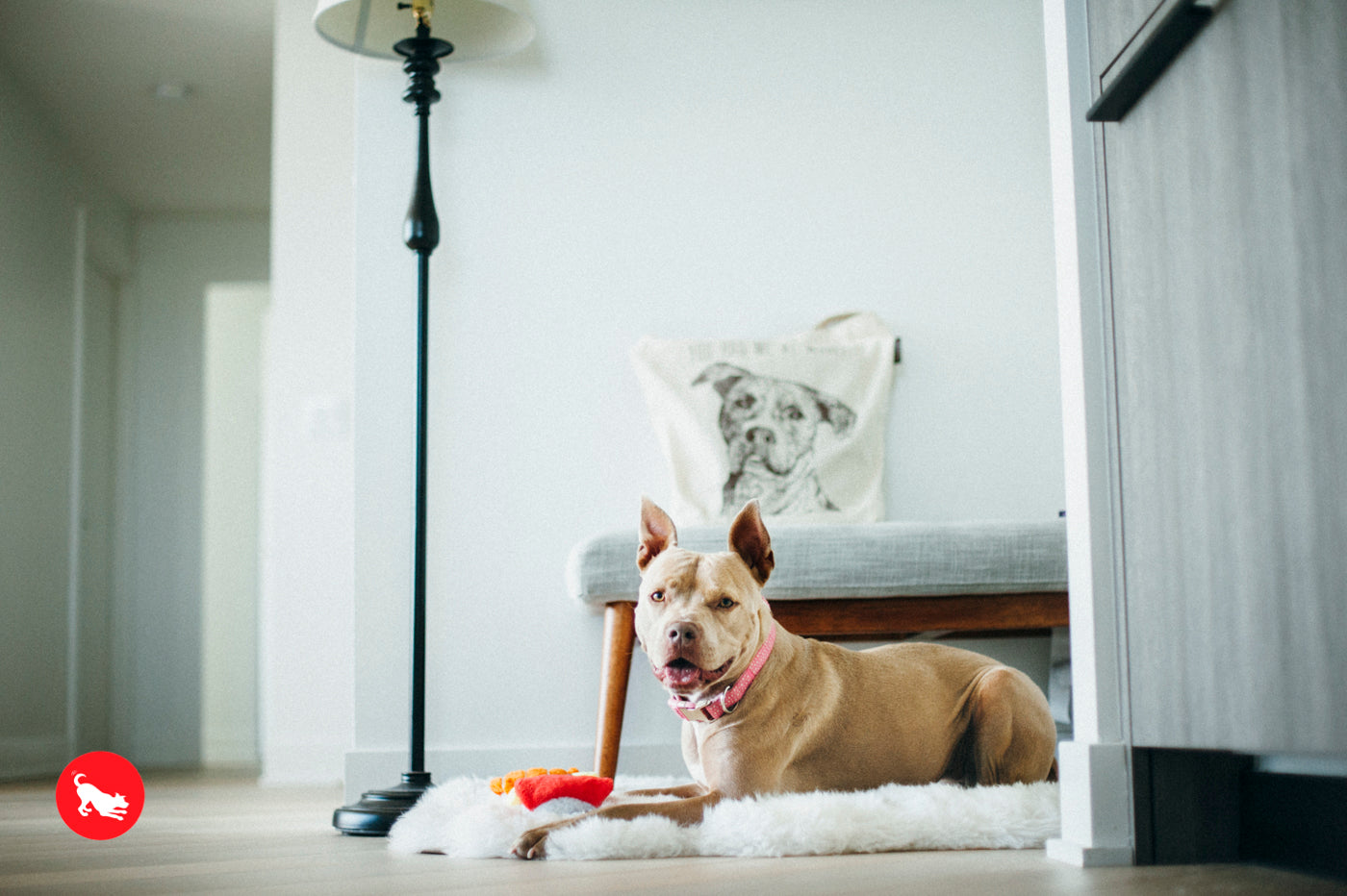 PLAY Best in Show Tote - RESCUE MUTT - YOU HAD ME AT WOOF_2