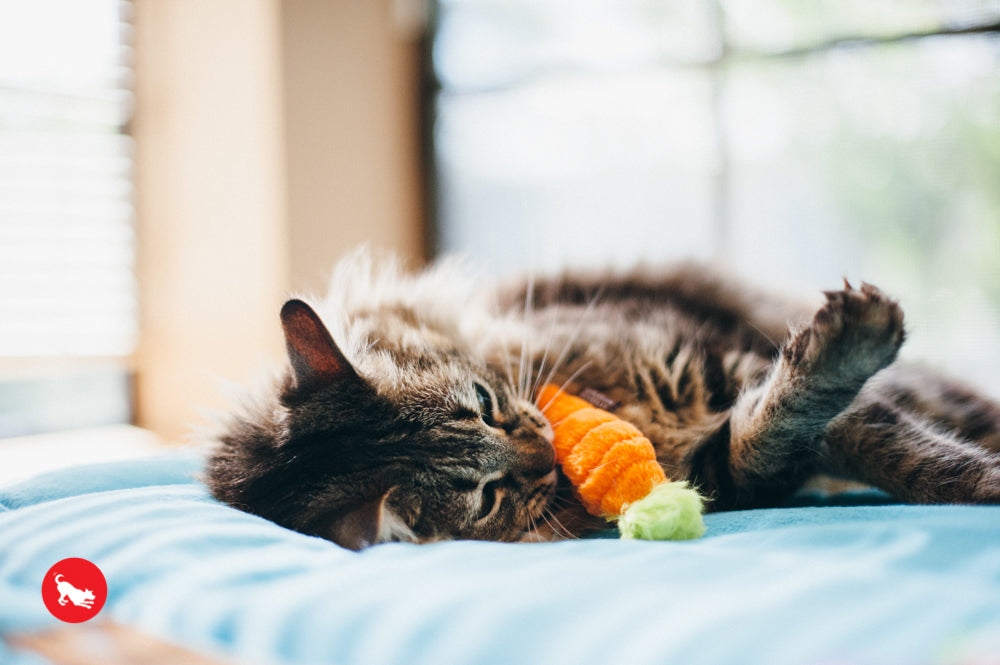 PLAY Feline Frenzy Catnip Toy Farm to Tabby