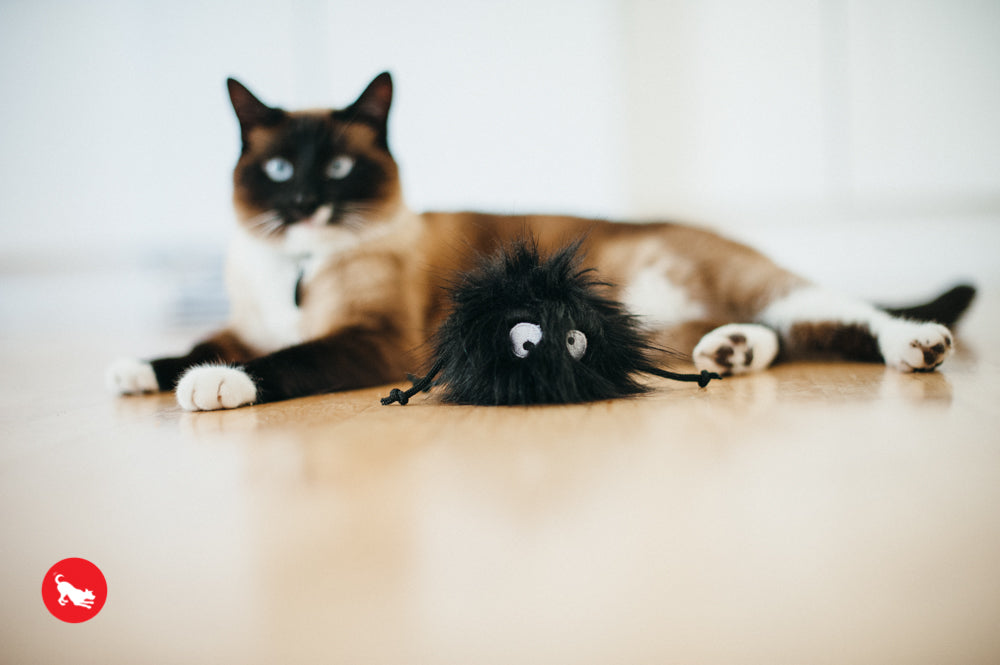 PLAY Feline Frenzy Catnip Toy Frisky Furball