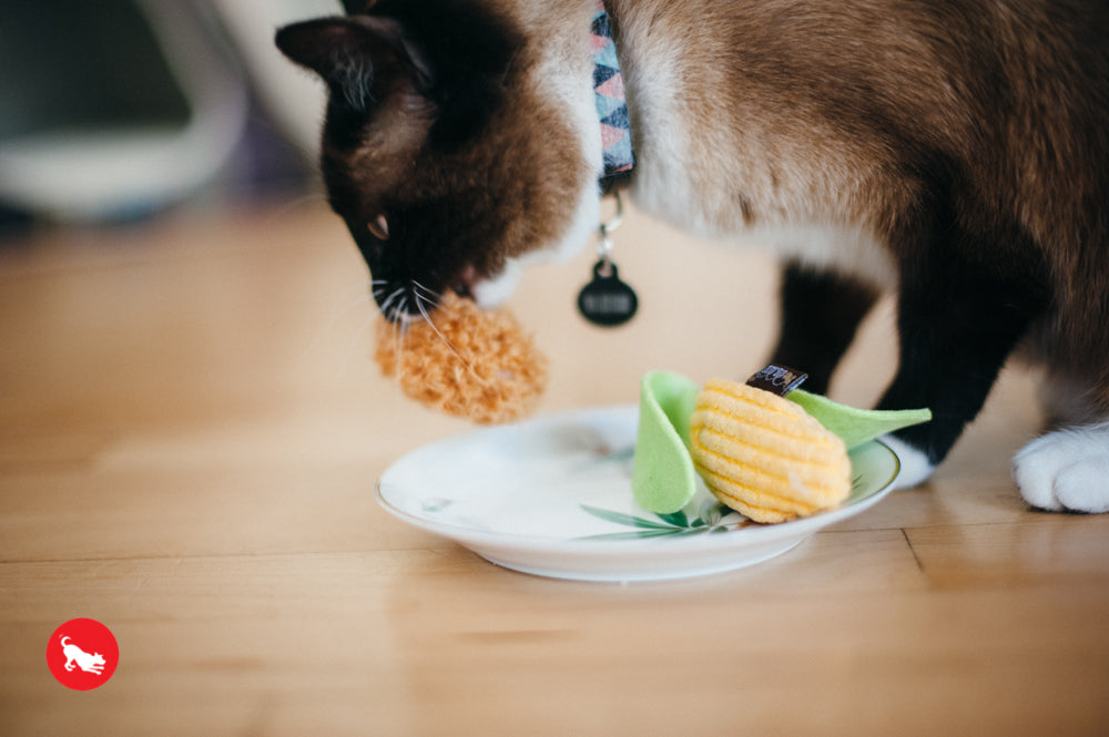 PLAY Feline Frenzy Catnip Toy Purrfect Picnic