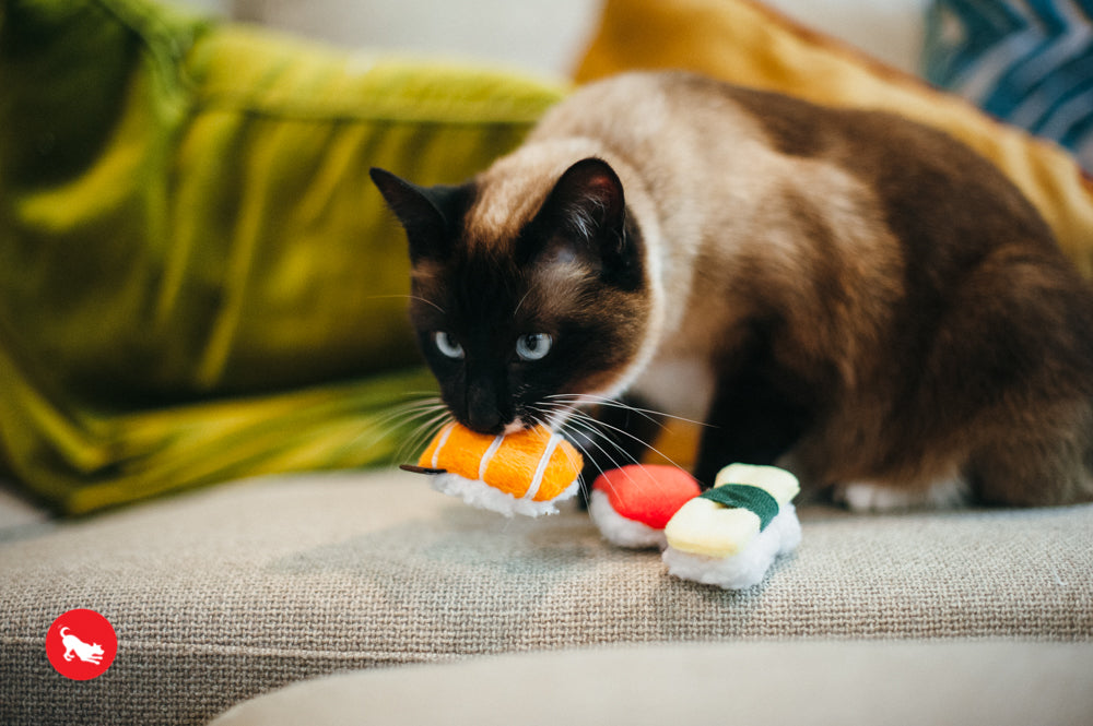 PLAY Feline Frenzy Catnip Toy Sassy Sushi