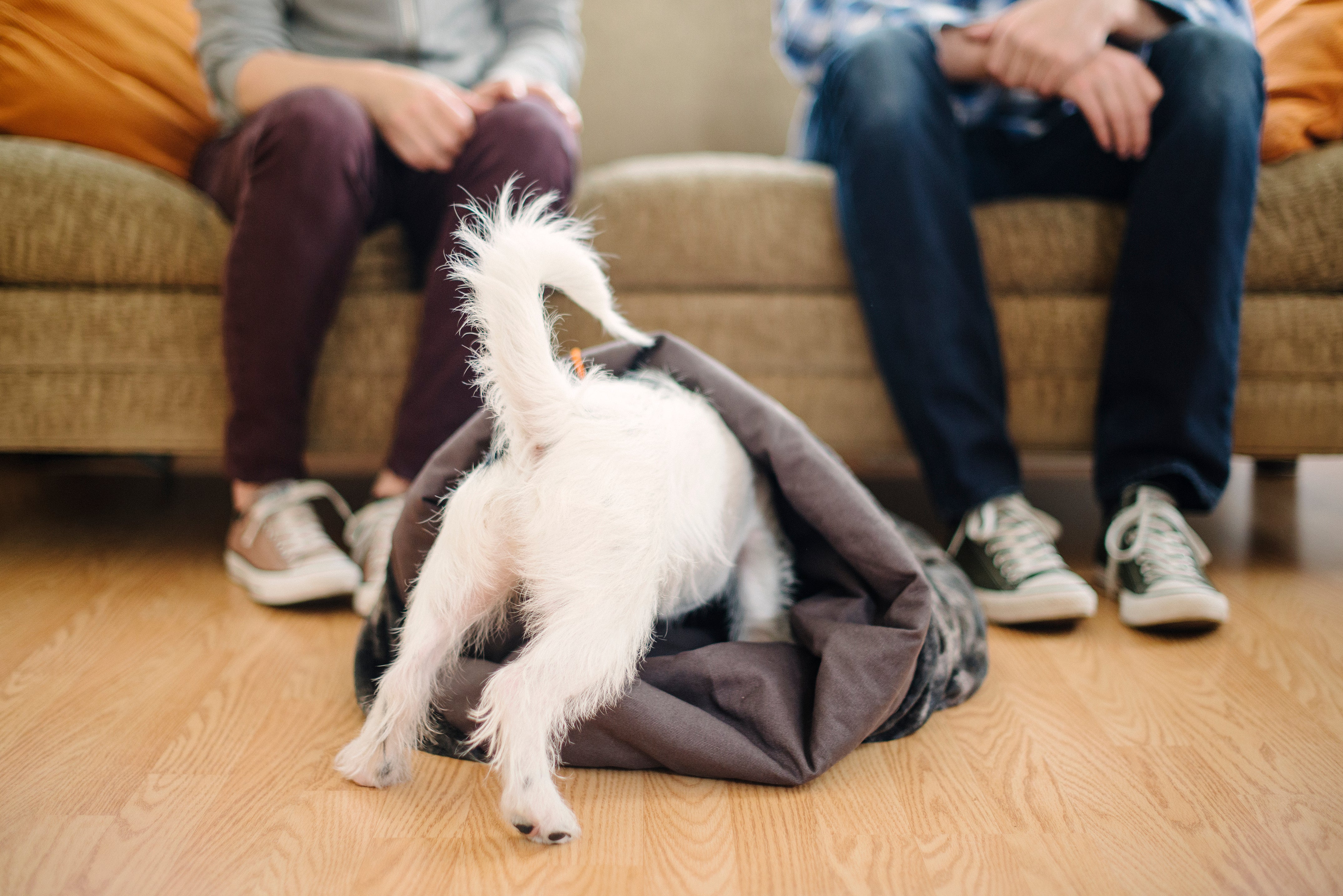 PLAY Snuggle Bed Truffle Brown for Dogs and Cats