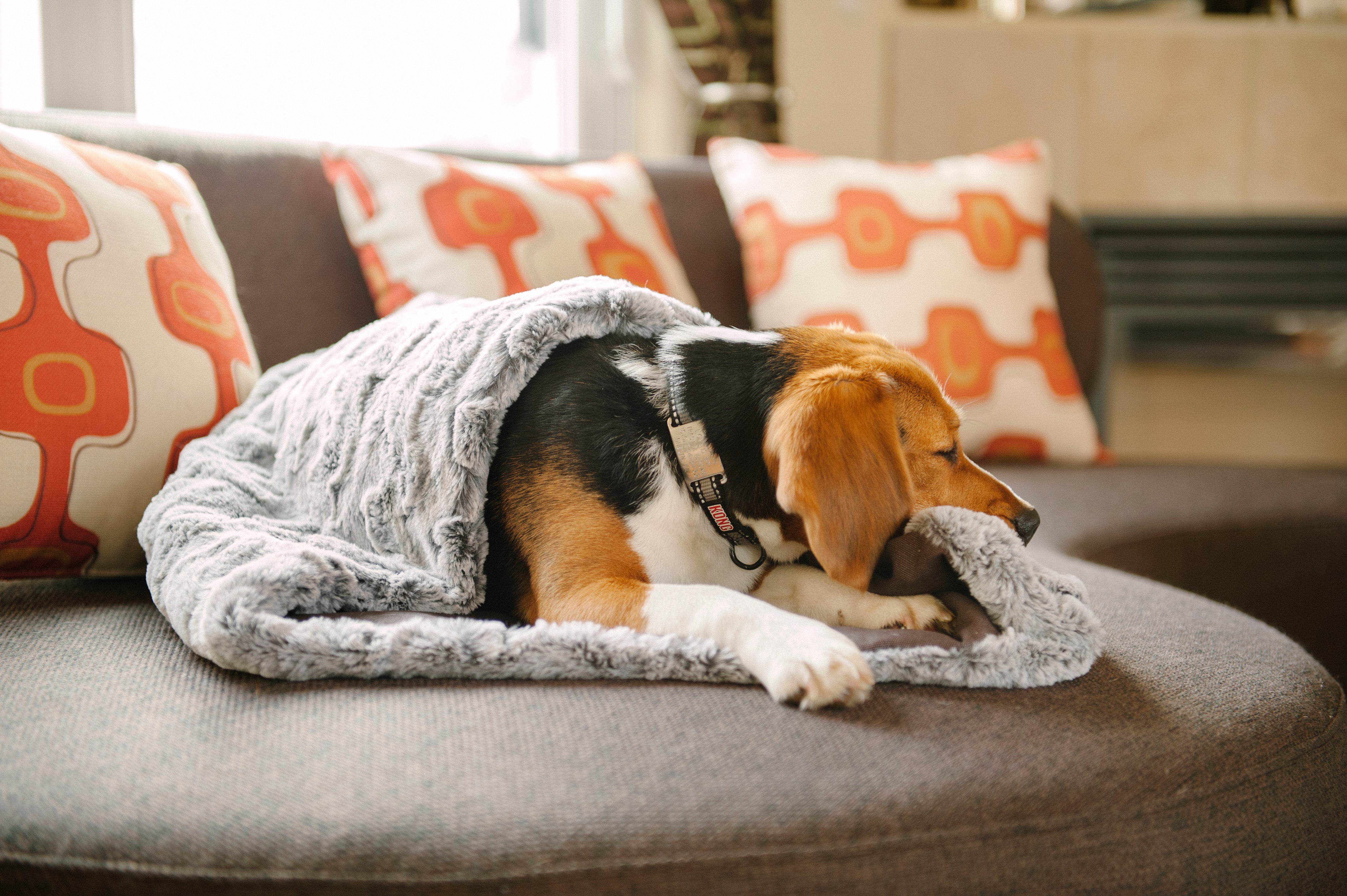 Snuggle Beds for Dogs and Cats Husky Grey