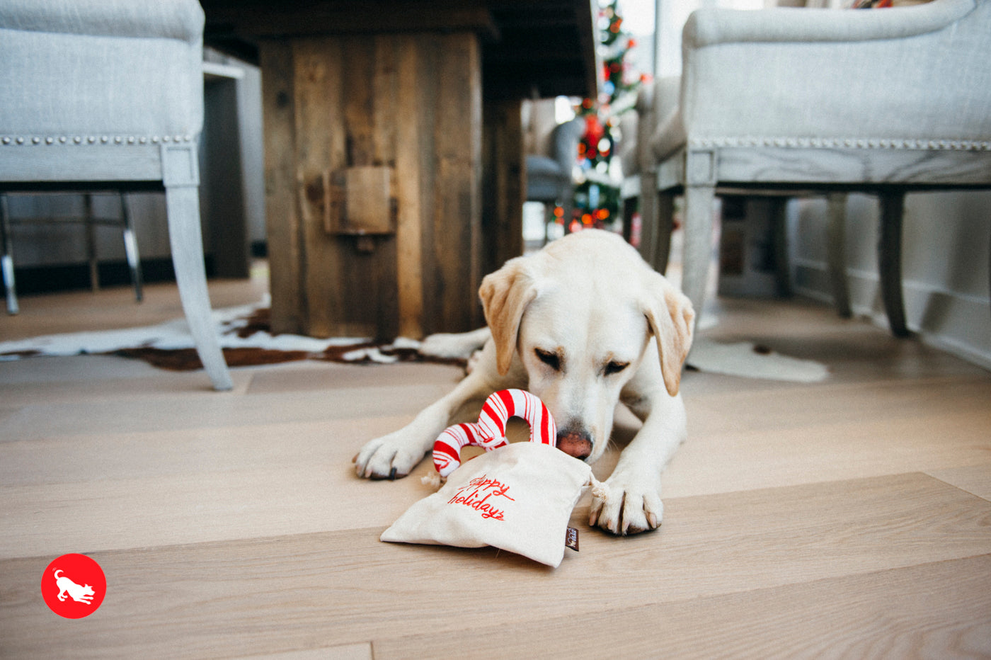 P.L.A.Y. Holiday Classic: Cheerful Candy Canes