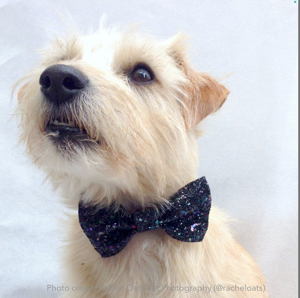 Bow tie: Glitter Midnight (FINAL SALE)