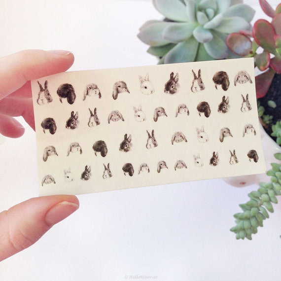 Nail transfer: Rabbits (FINAL SALE)