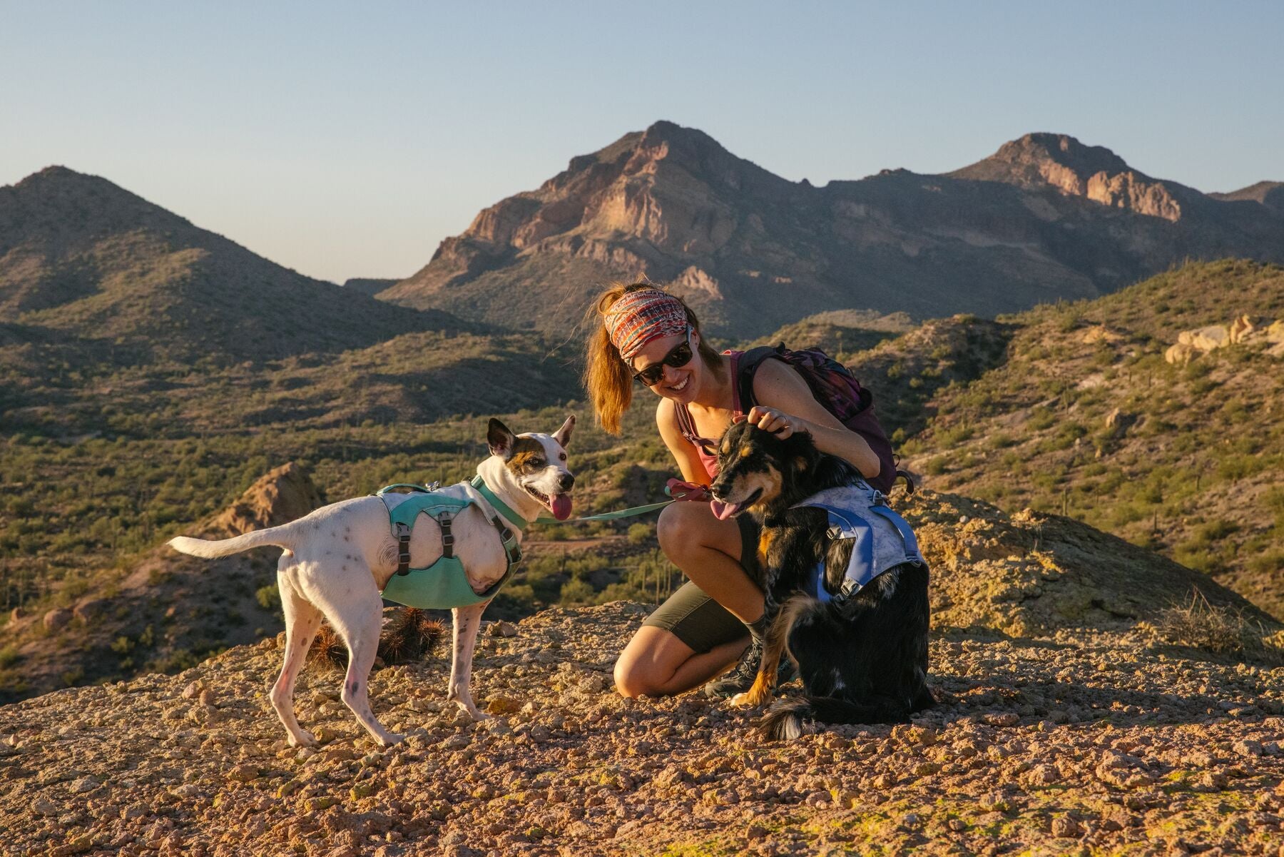Ruffwear Dog Cooling Harness: Swamp Cooler