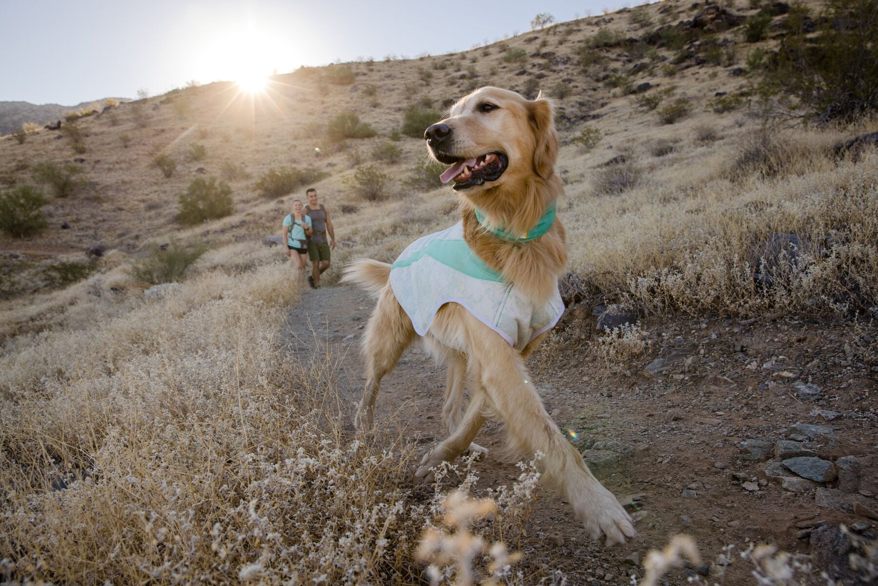 Ruffwear Cooling Dog Vest: Swamp Cooler