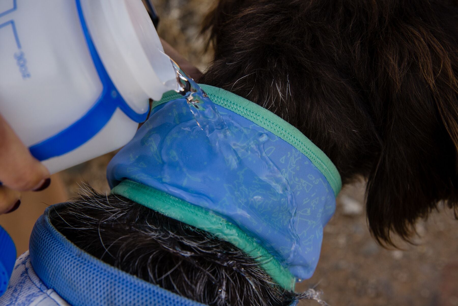 Ruffwear Cooling Dog Vest: Swamp Cooler