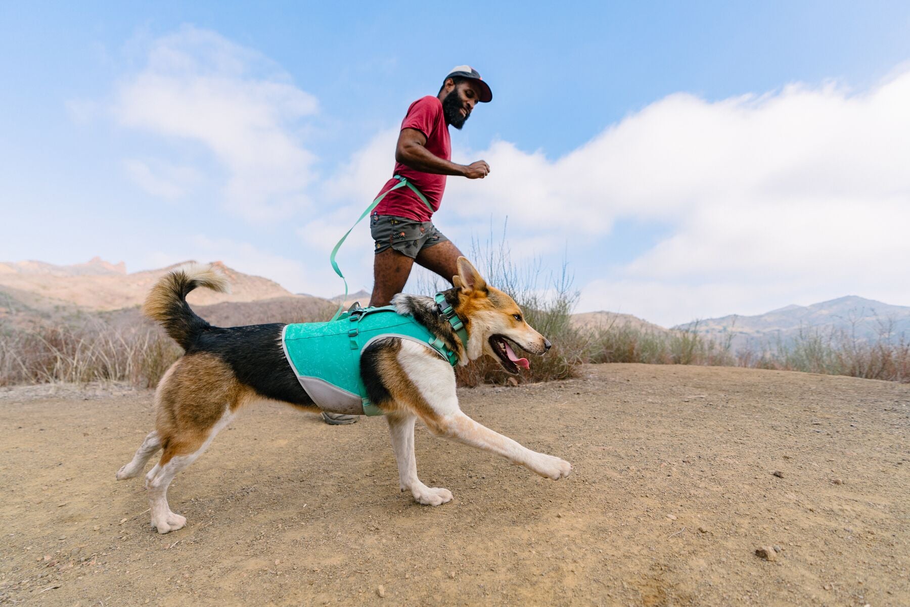 Ruffwear Cooling Dog Vest: Swamp Cooler Zip