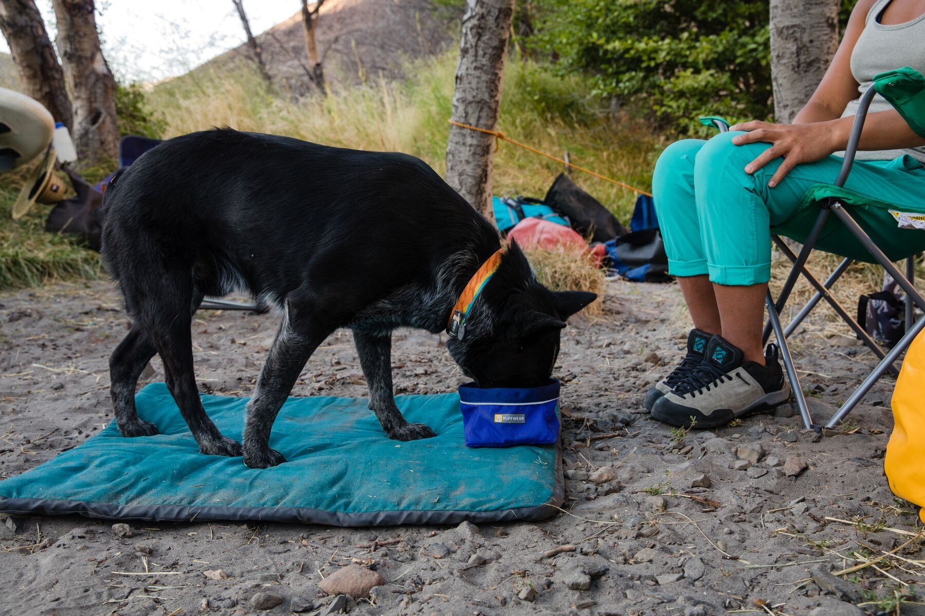 Ruffwear: Flat Out Dog Collar