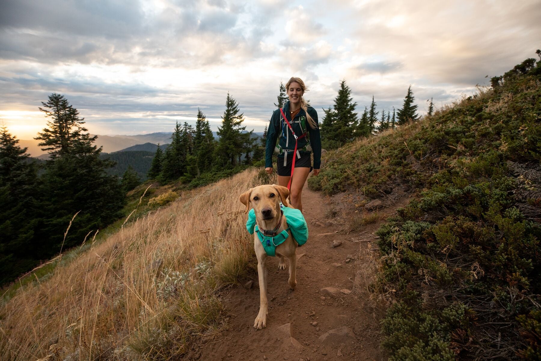 Ruffwear Front Range Dog Day Pack