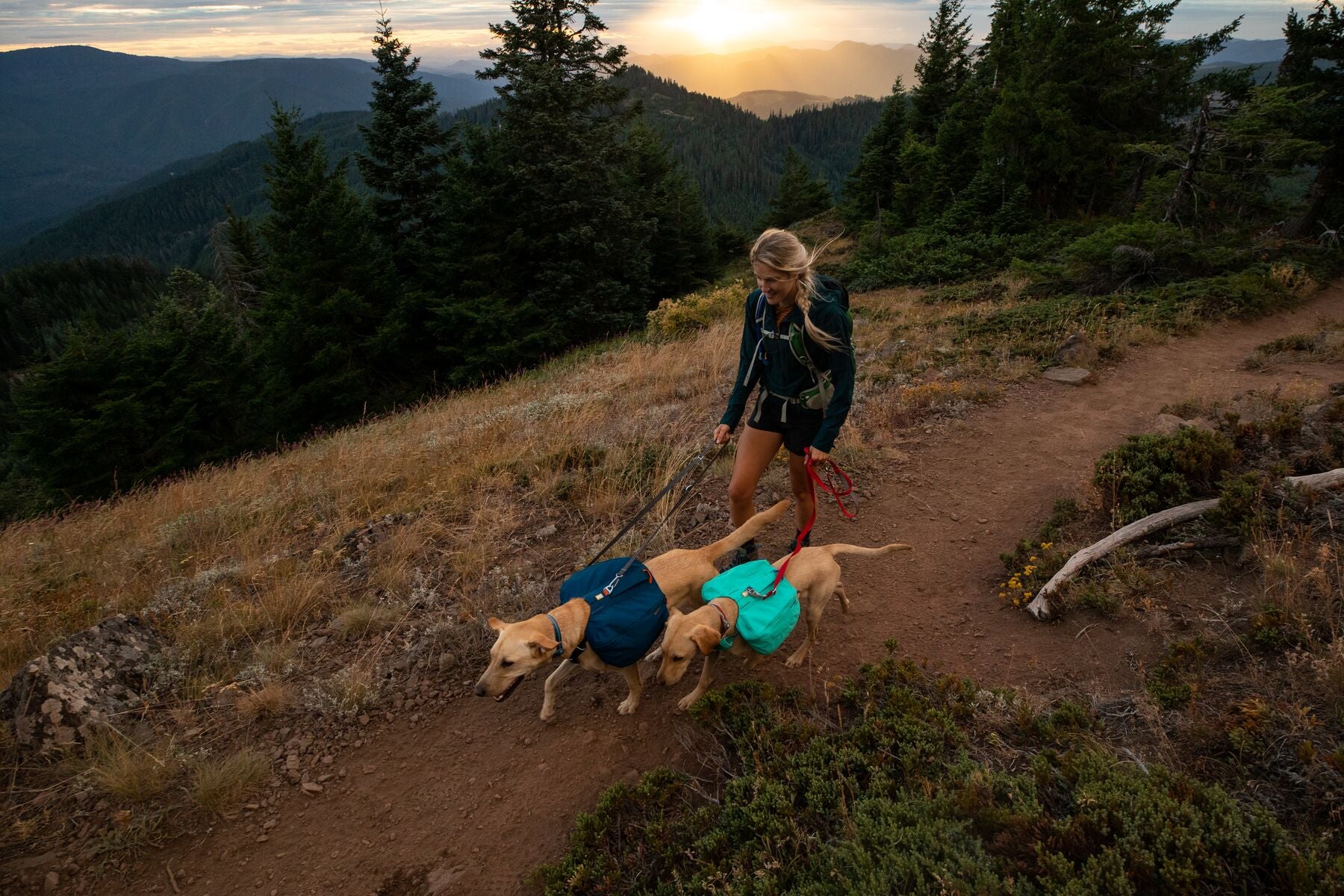 Ruffwear Front Range Dog Day Pack