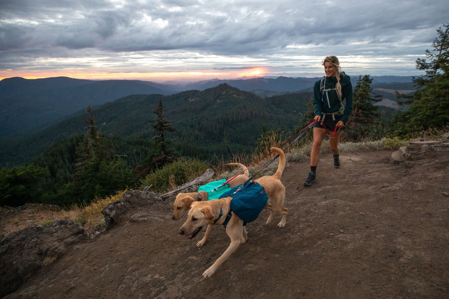 Ruffwear Front Range Dog Day Pack