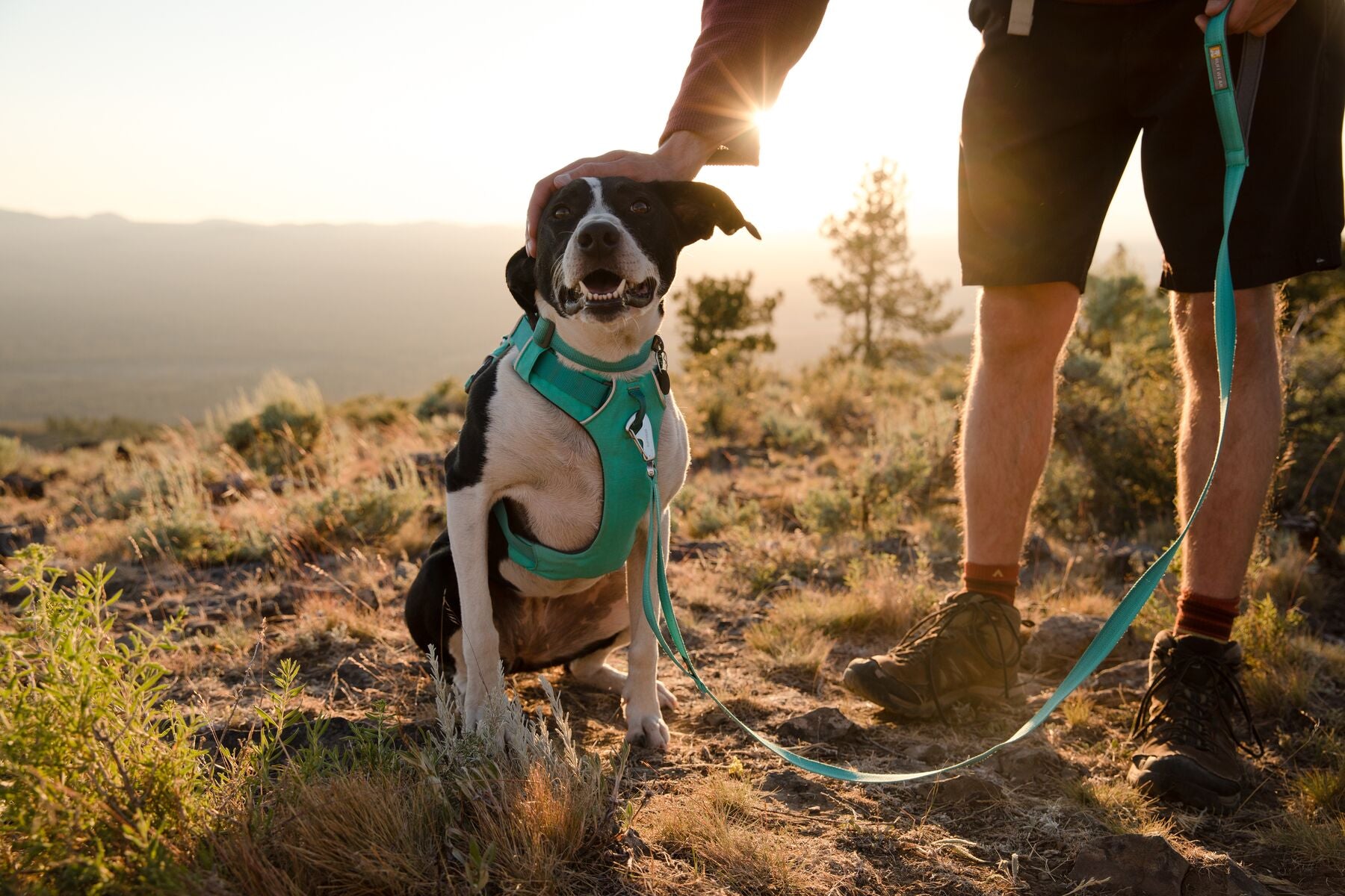Ruffwear Dog Harness No-Pull: Front Range (FINAL SALE)