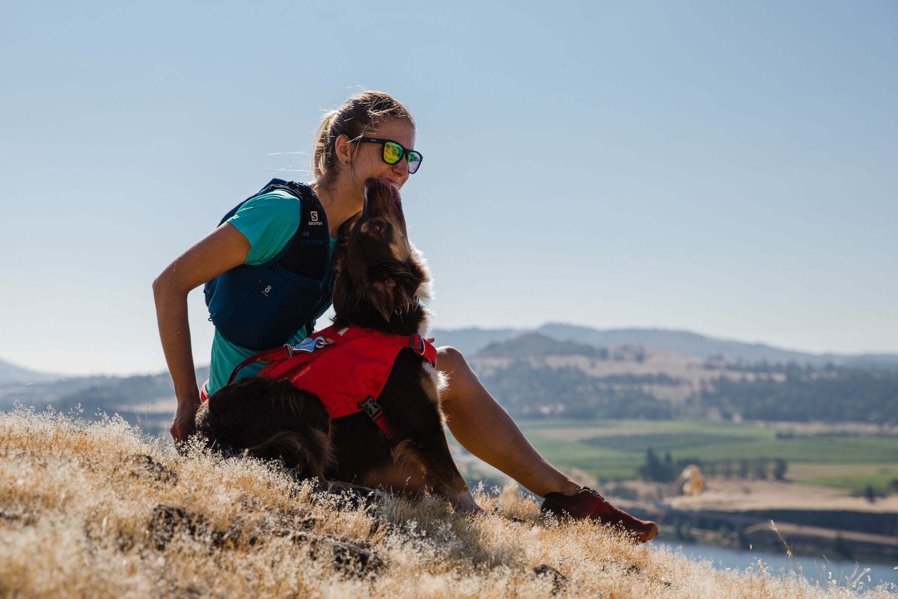 Ruffwear Dog Harness: Switchbak