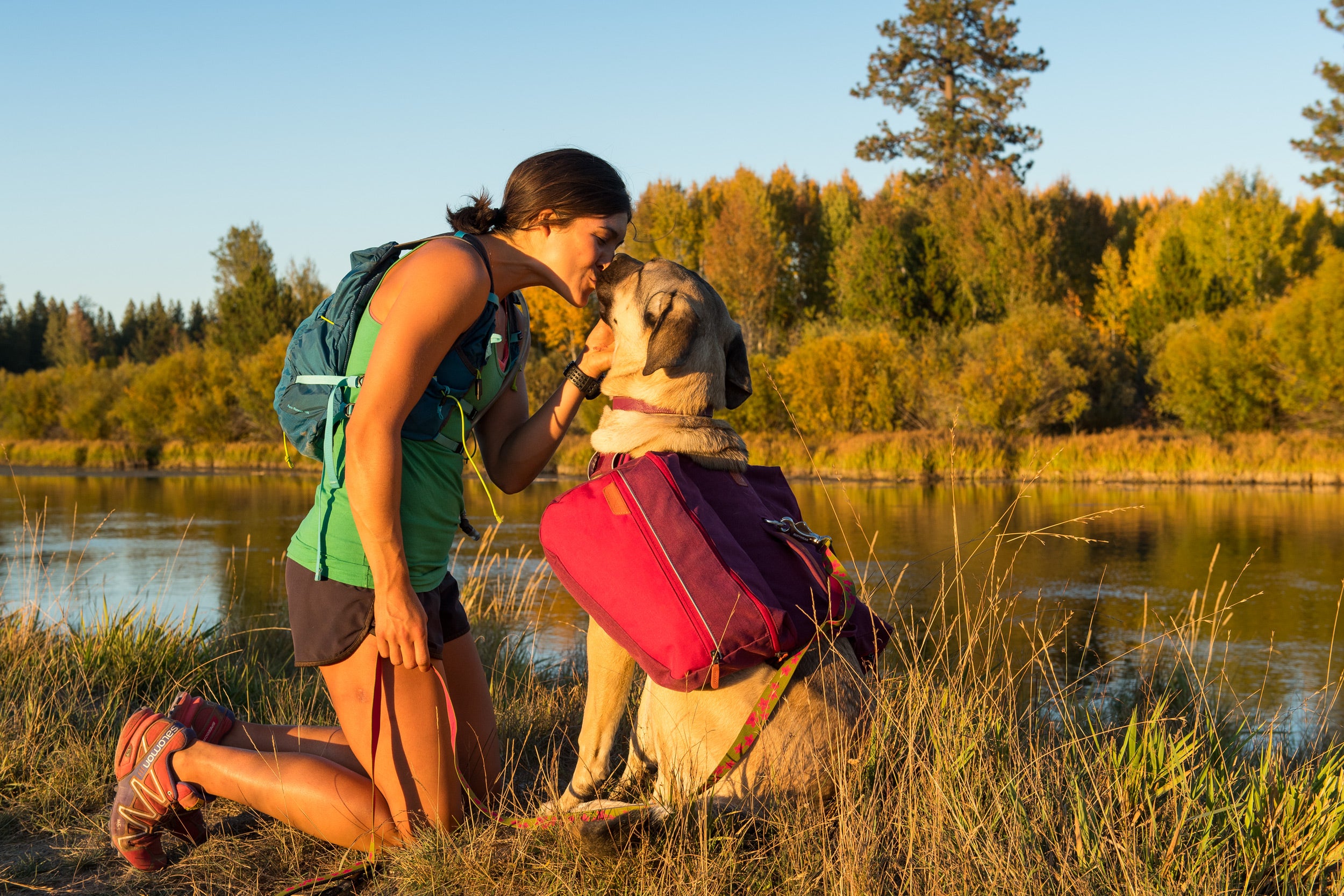Ruffwear Dog Pack: Commuter Pack in Lackspur Purple (FINAL SALE)