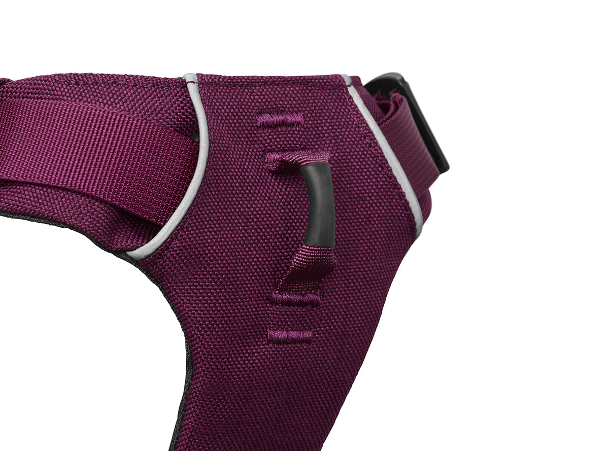 Ruffwear Commuter Pack in Lackspur Purple